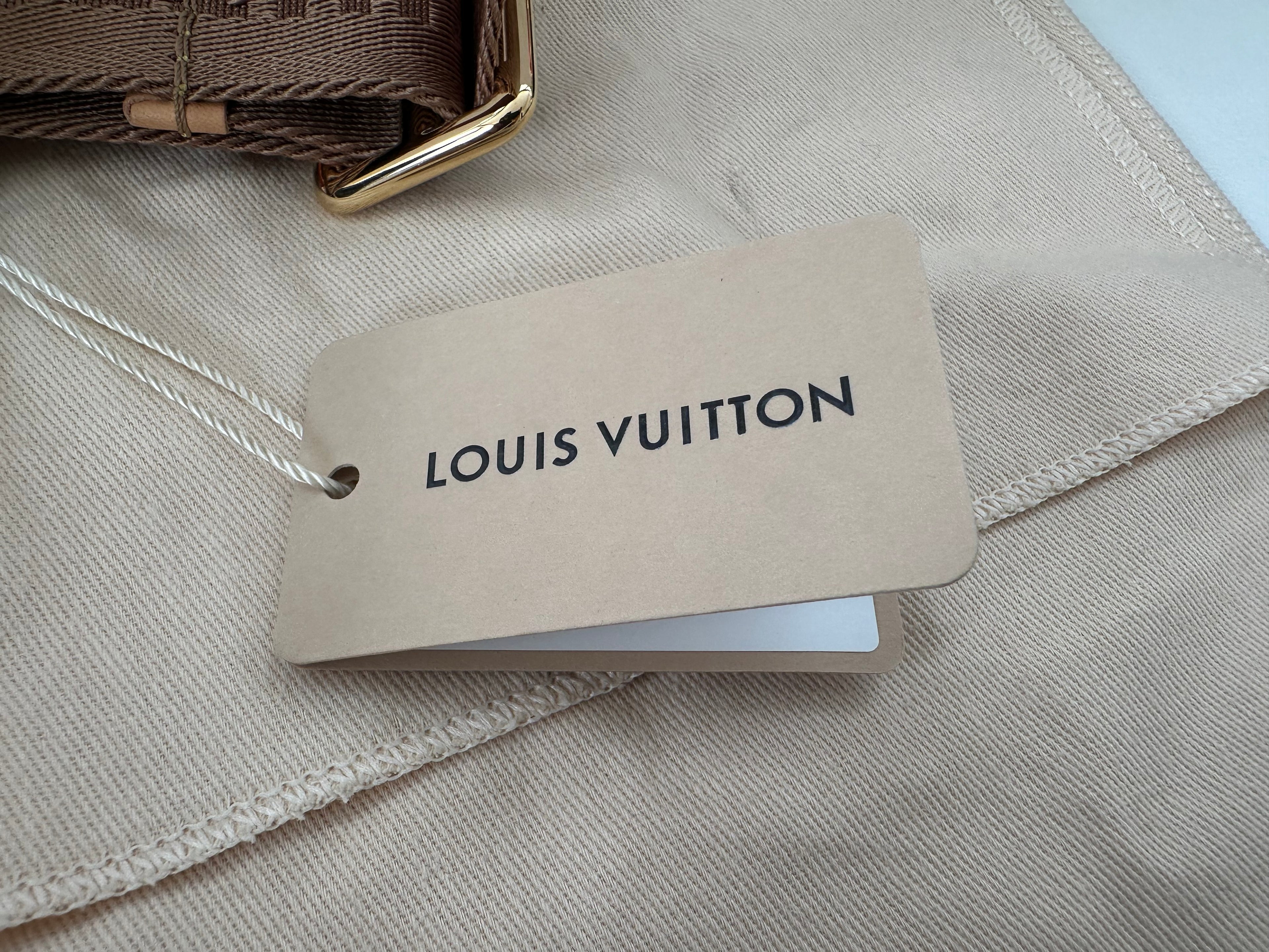 Louis Vuitton Looping