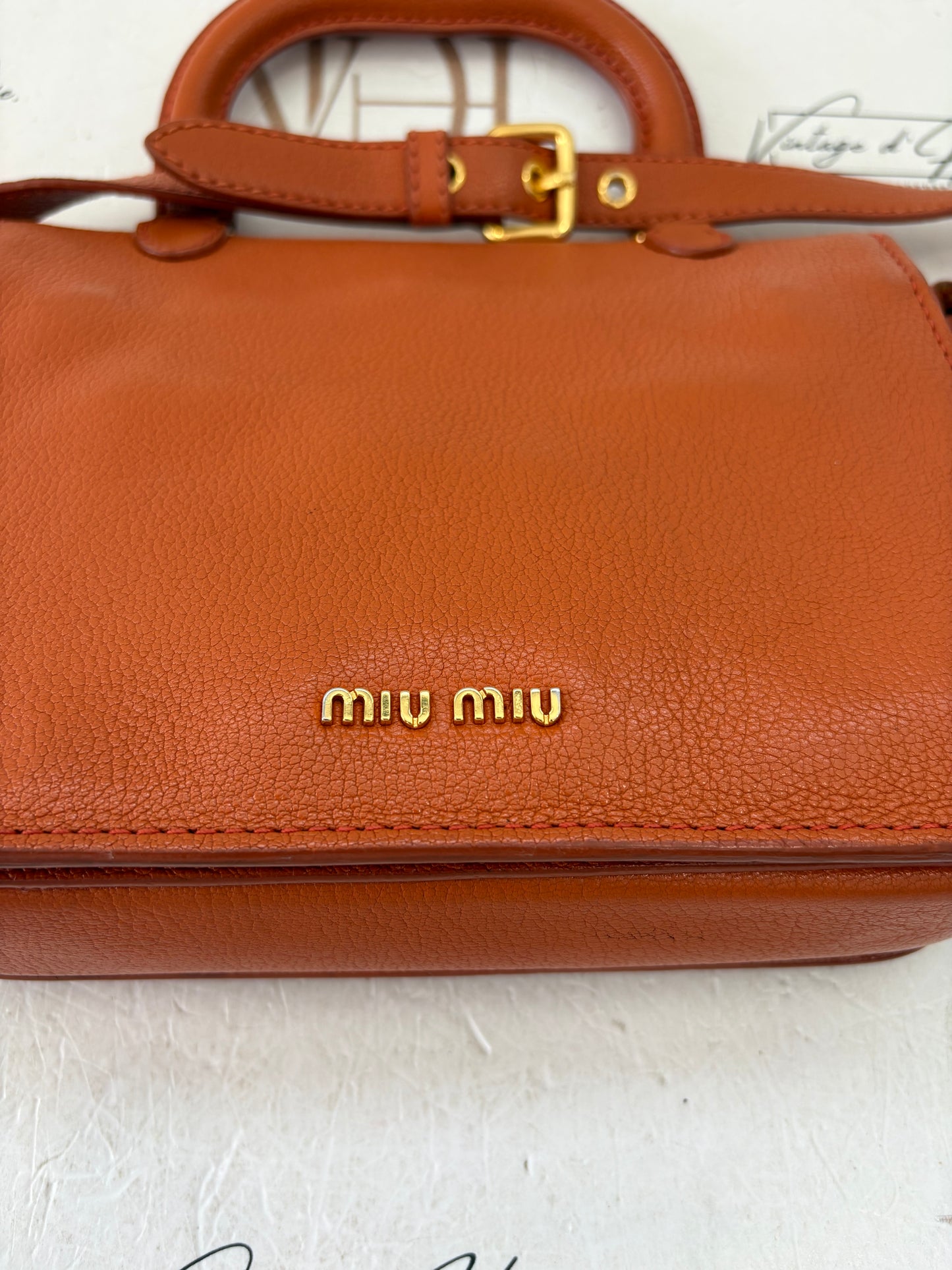 201596 - Miu Miu Orange