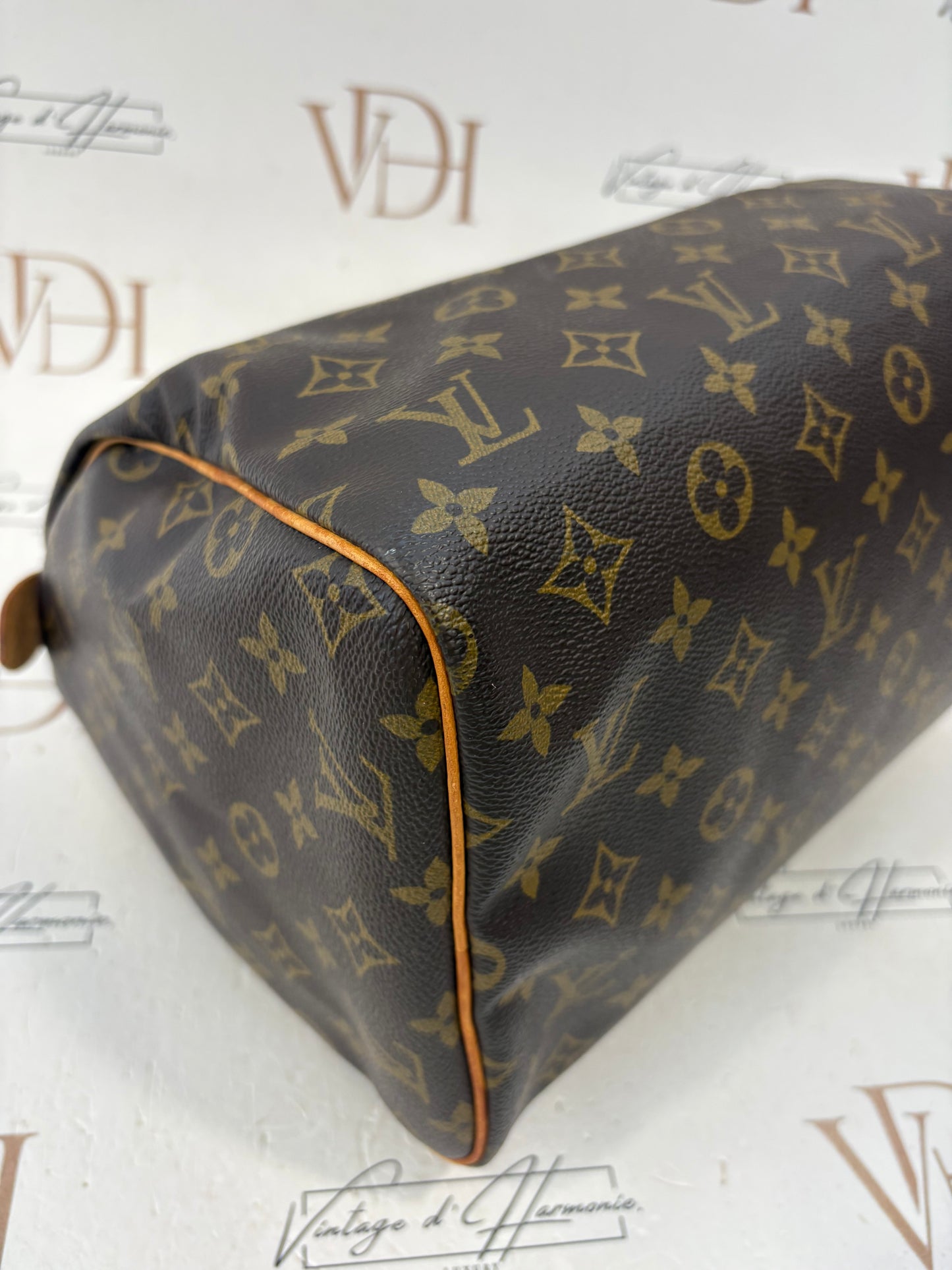 018251 - Louis Vuitton Speedy 30