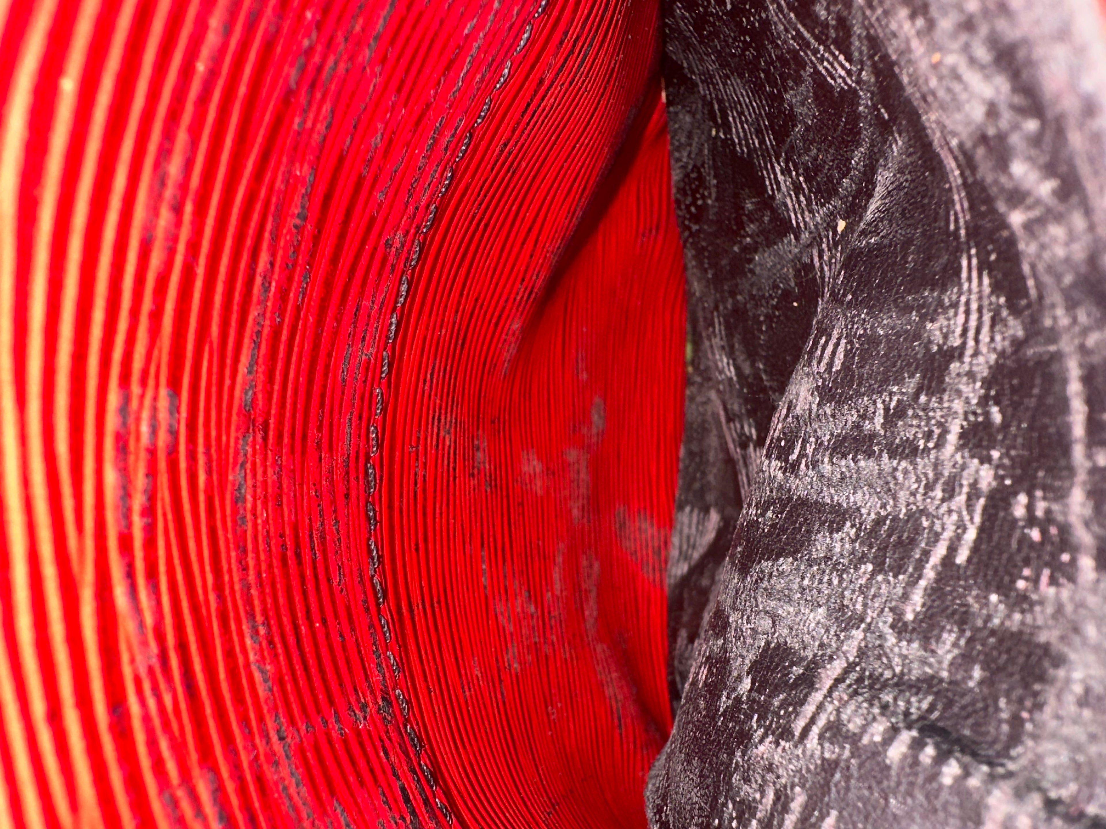 Louis Vuitton Epi Danube