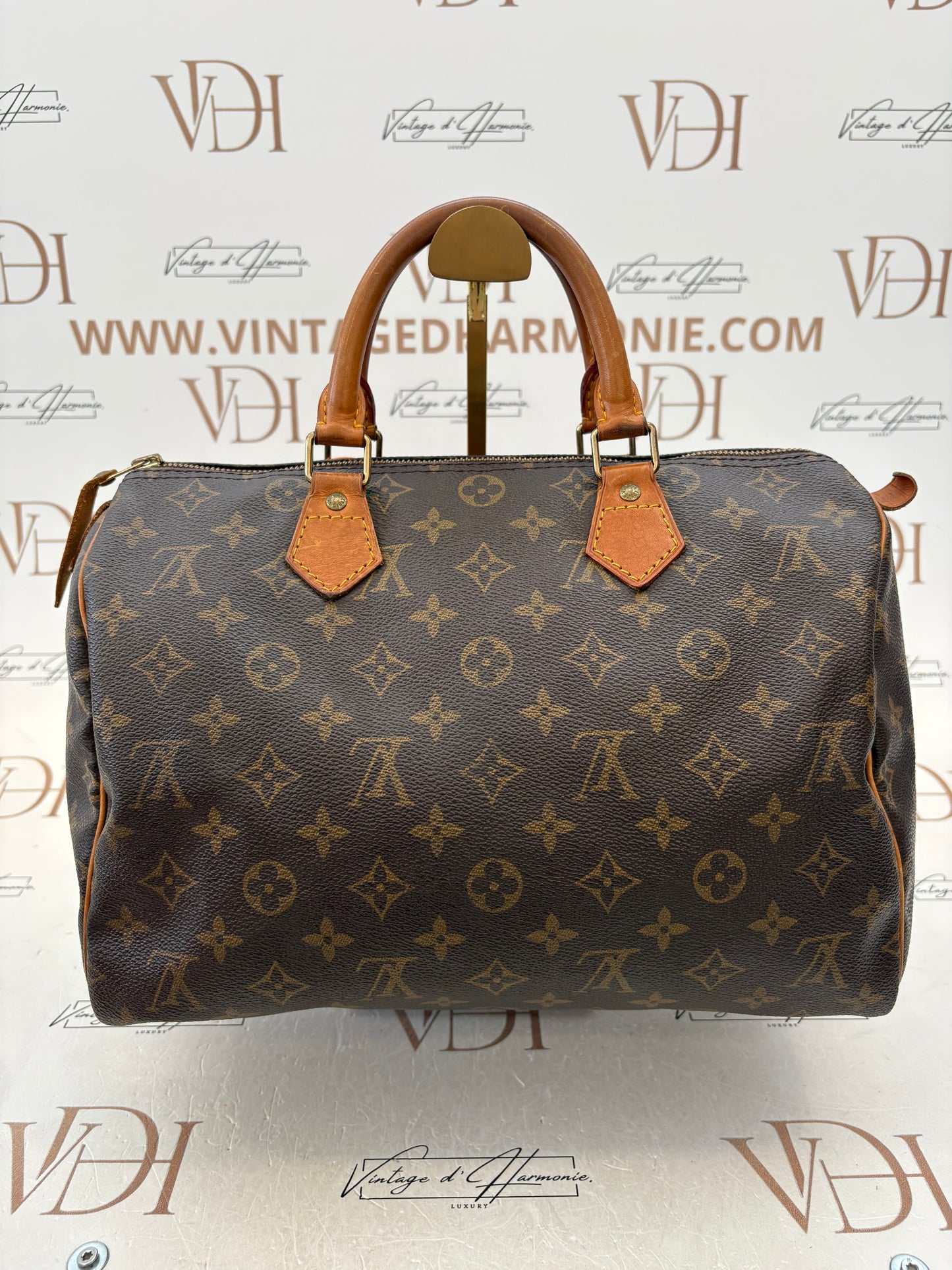 018808 - Louis Vuitton Speedy