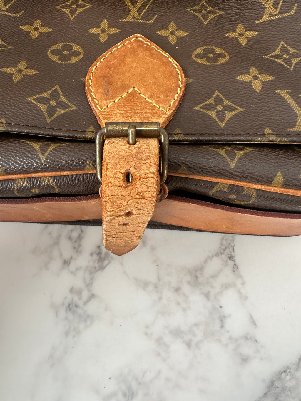 Louis Vuitton Cartouchiere GM