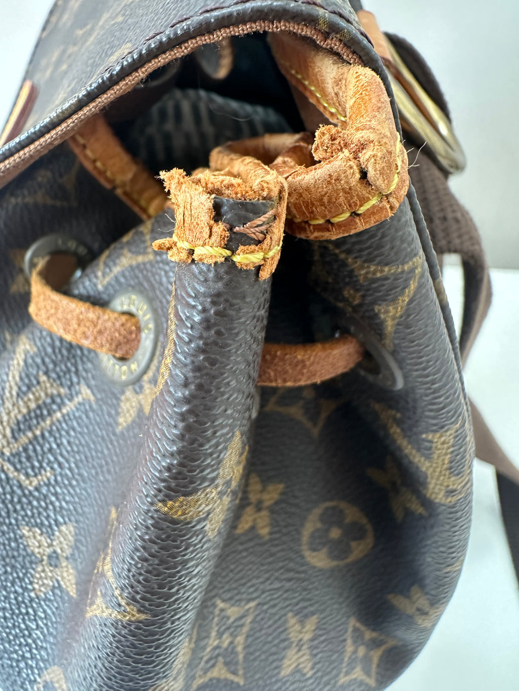 Louis Vuitton Montsouris GM