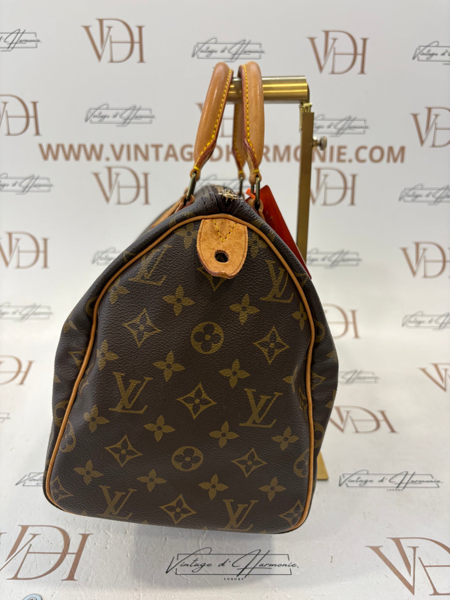 018251 - Louis Vuitton Speedy 30