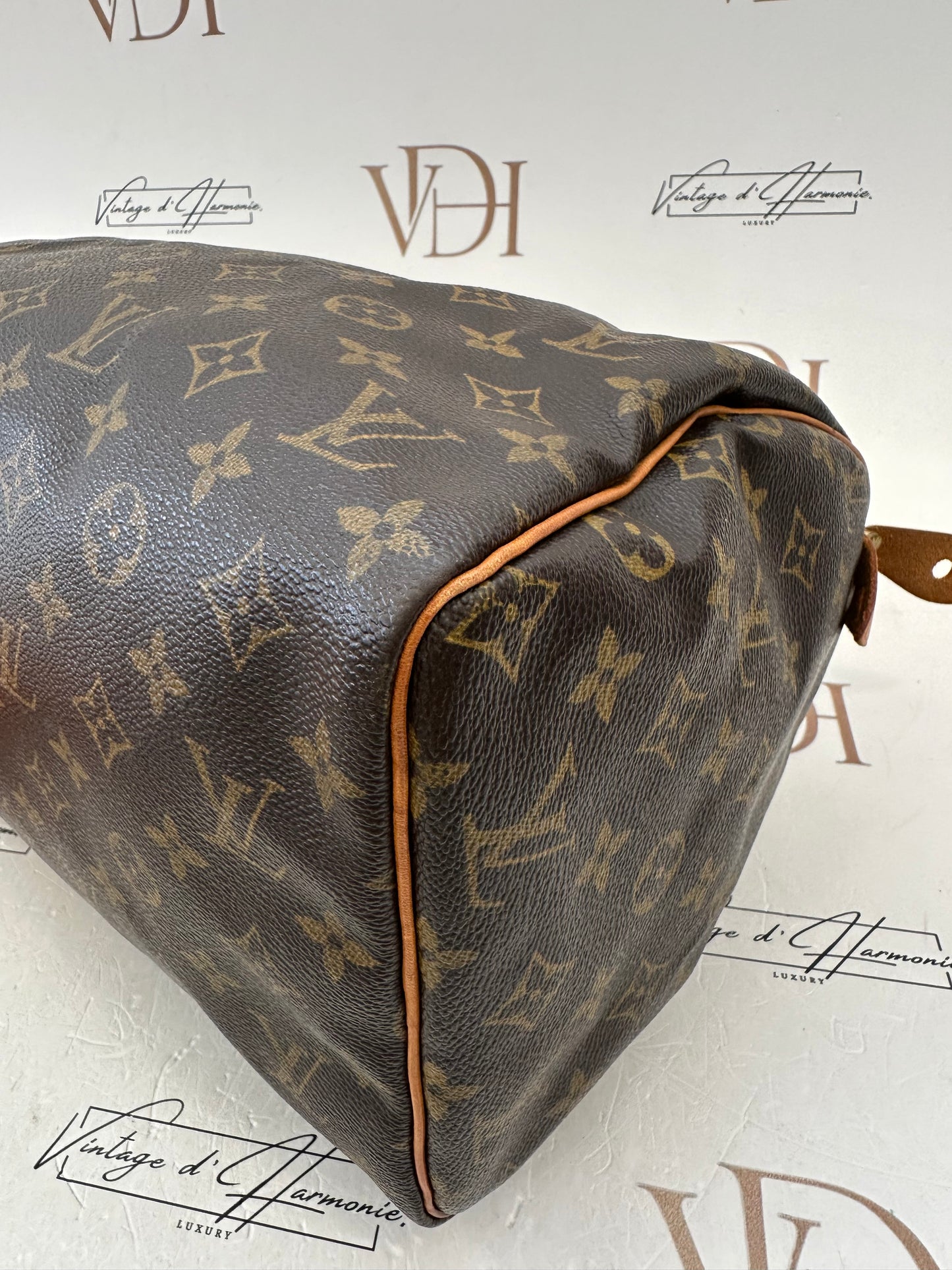 017668 - Louis Vuitton Speedy 30