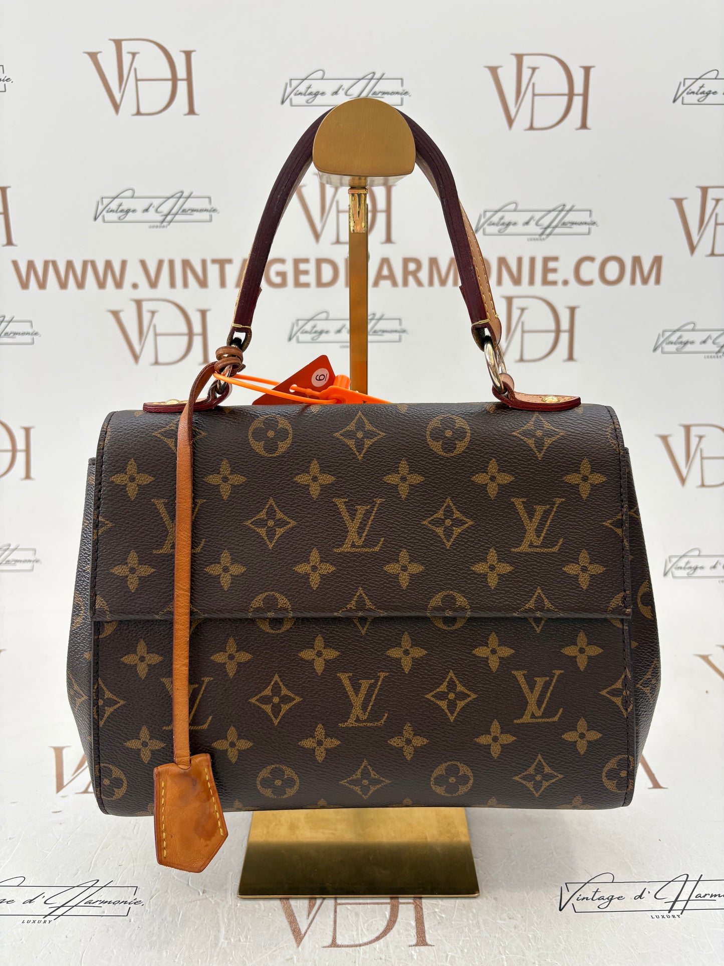 201103 - Louis Vuitton Cluny