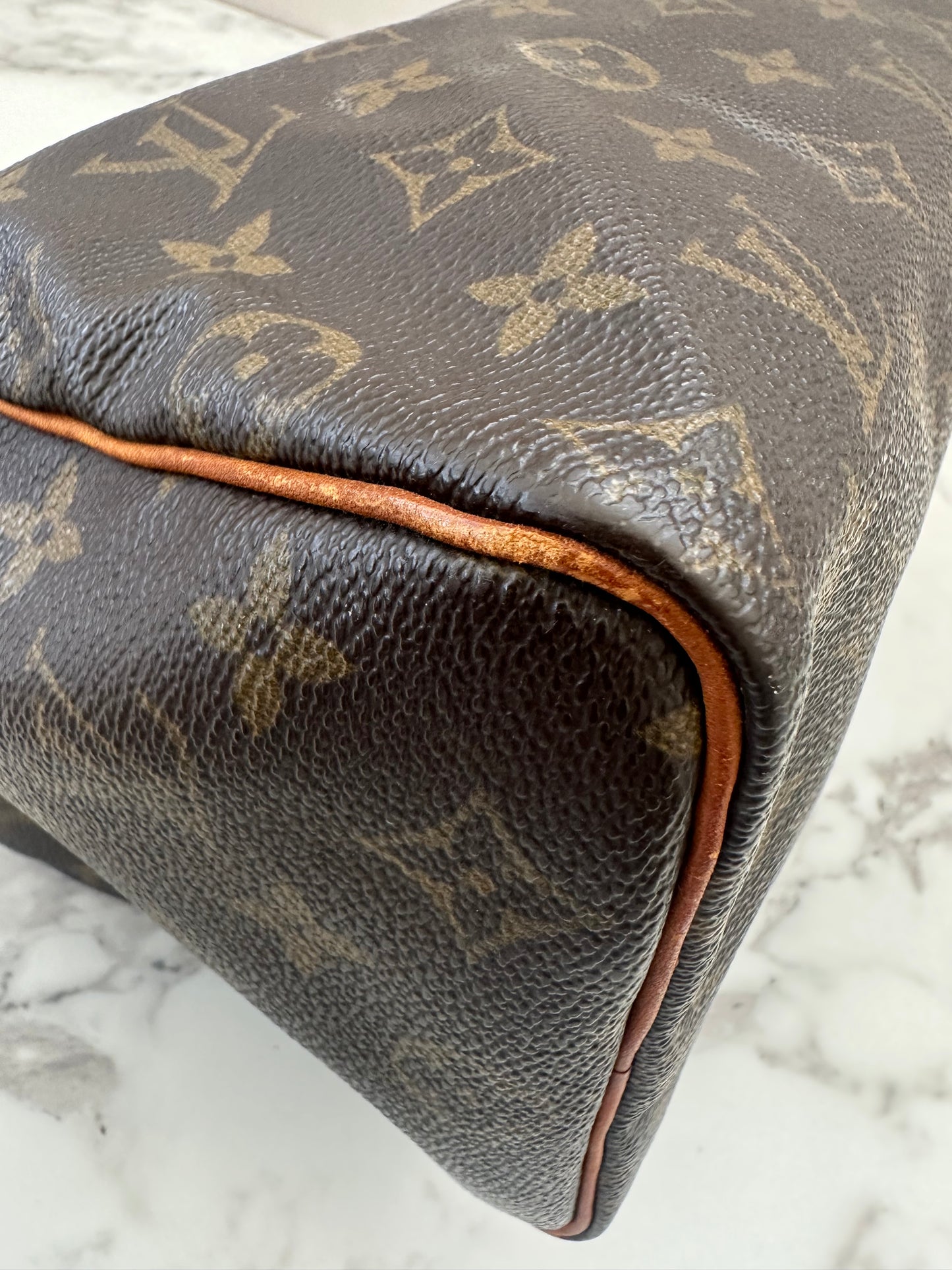Louis Vuitton Speedy 25