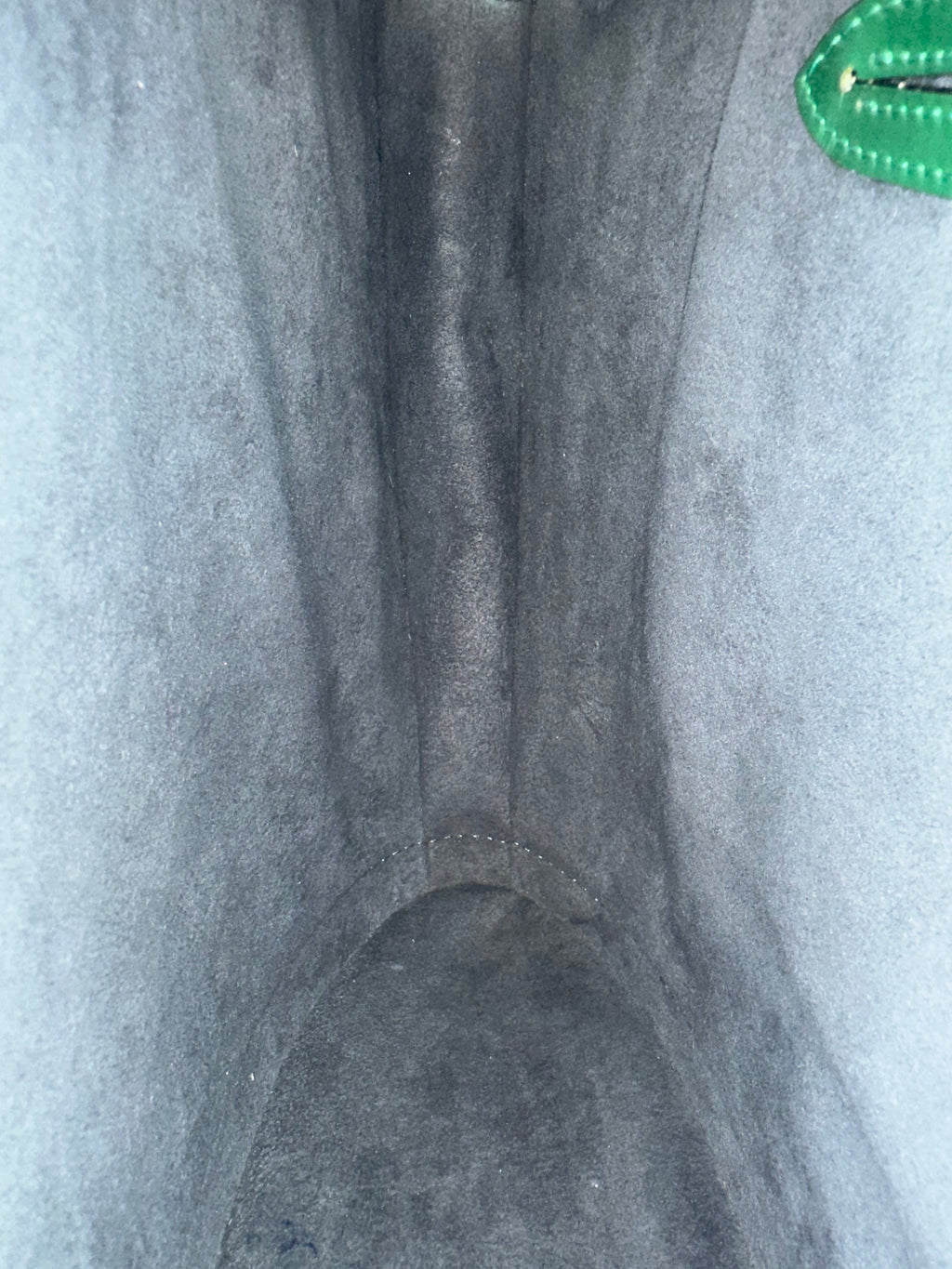 Louis Vuitton Green Epi Saint jacques