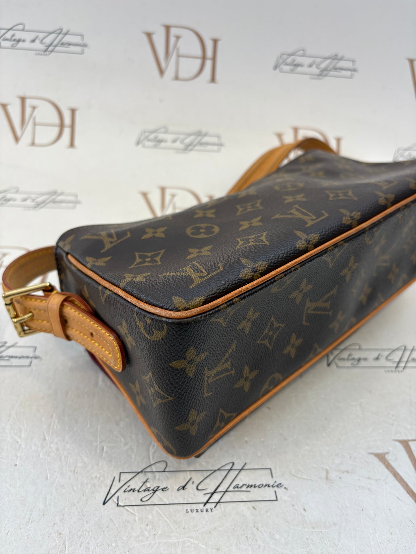 018593 - Louis Vuitton Viva Cite MM