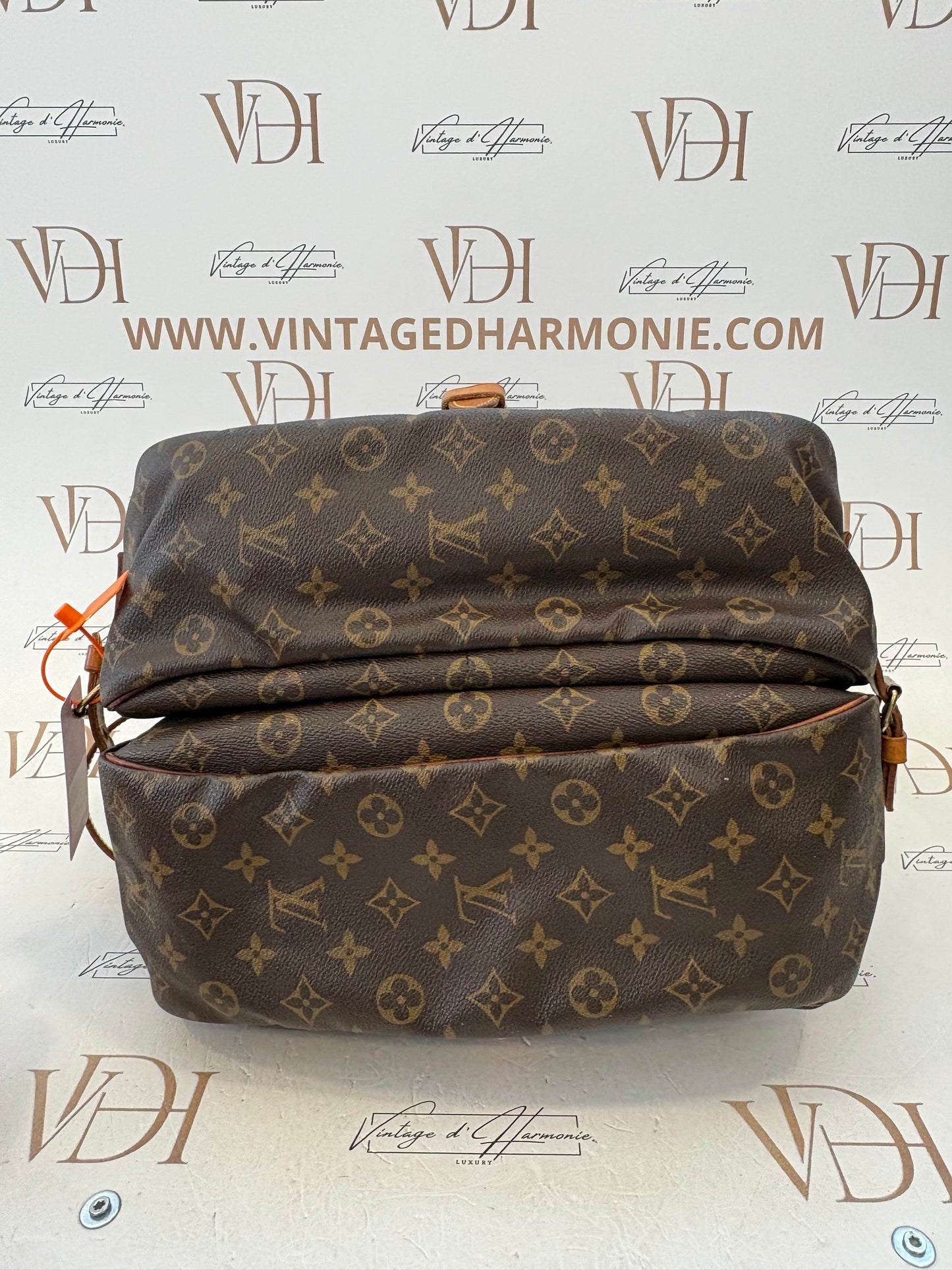 018589 - Louis Vuitton Saumur 35