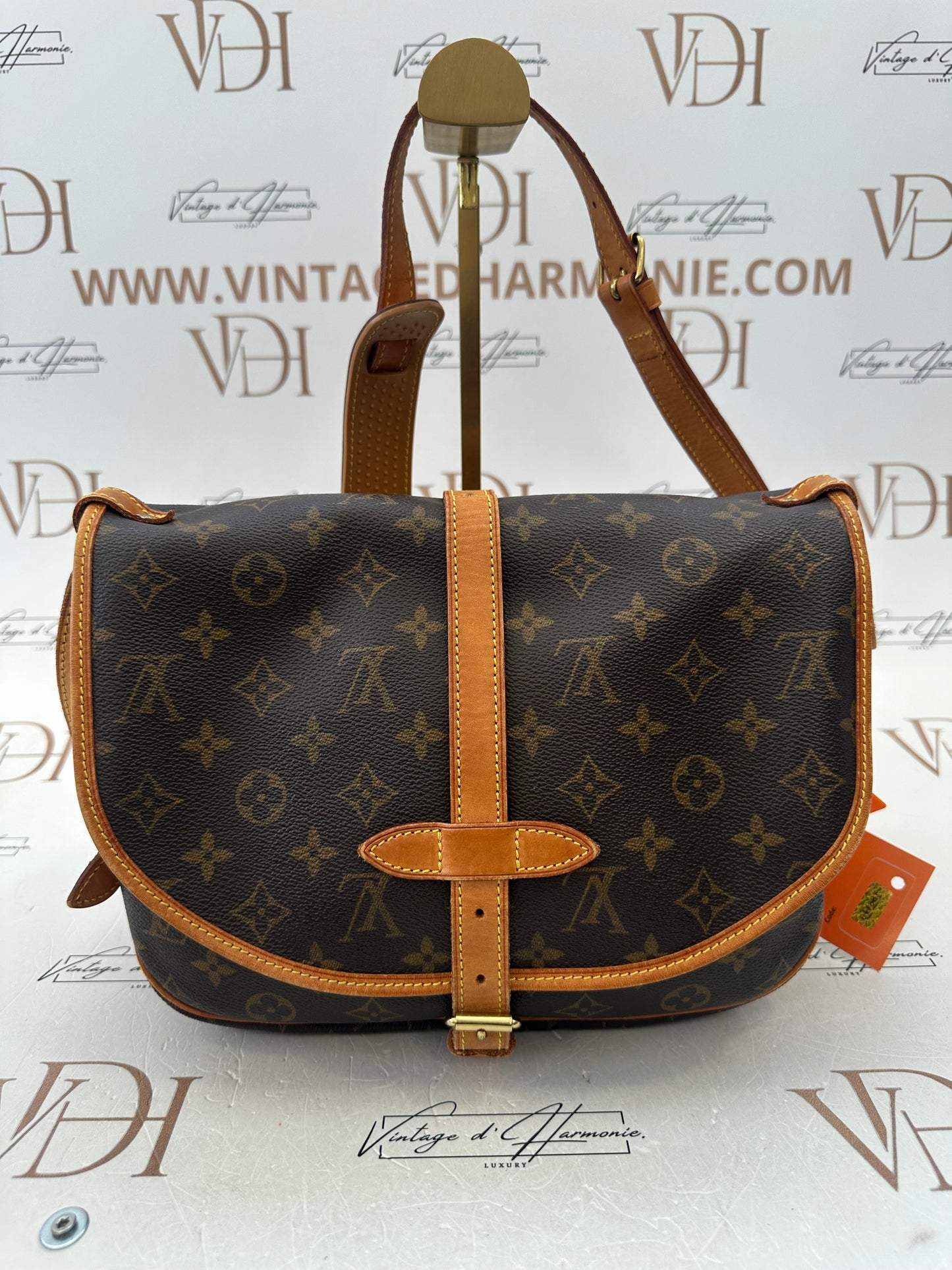 017887 - Louis Vuitton Saumur 30