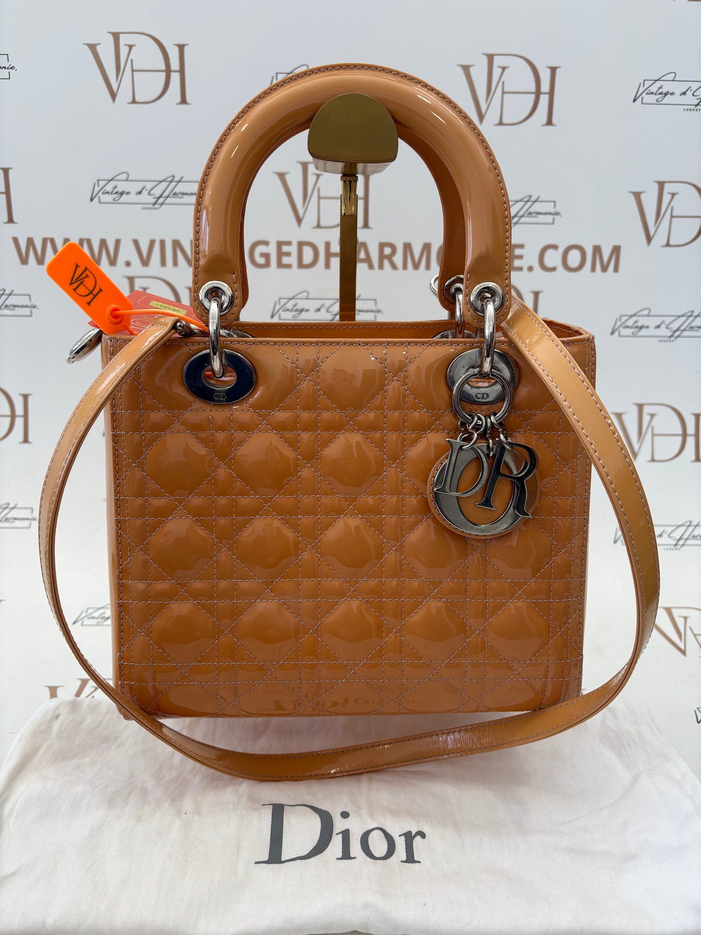 383621 - Dior Lady