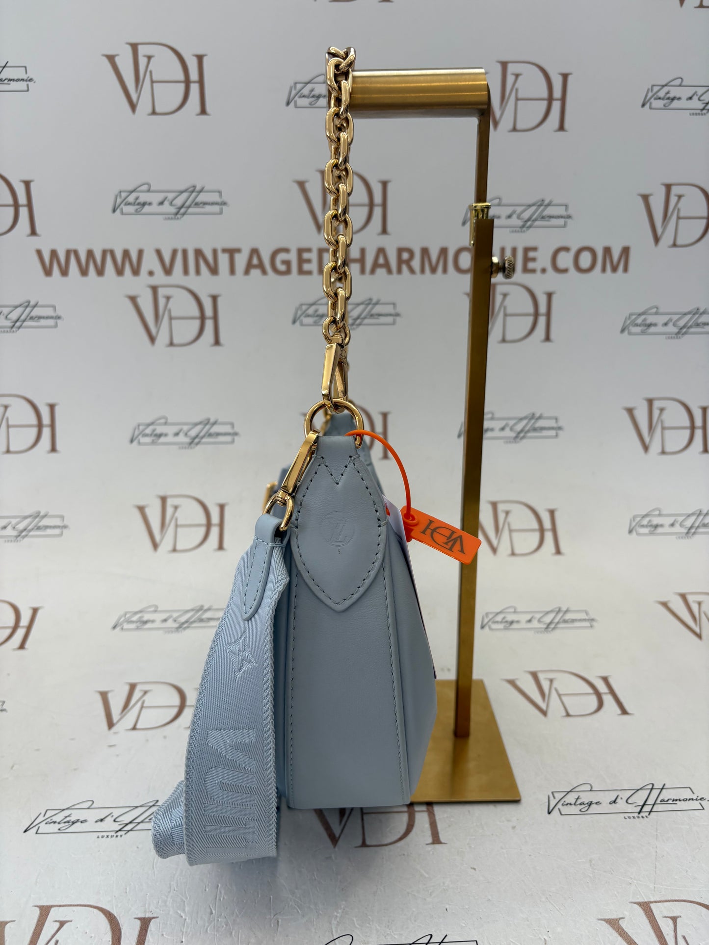 018554 - Louis Vuitton Light Blue Bubblegram Over The Moon
