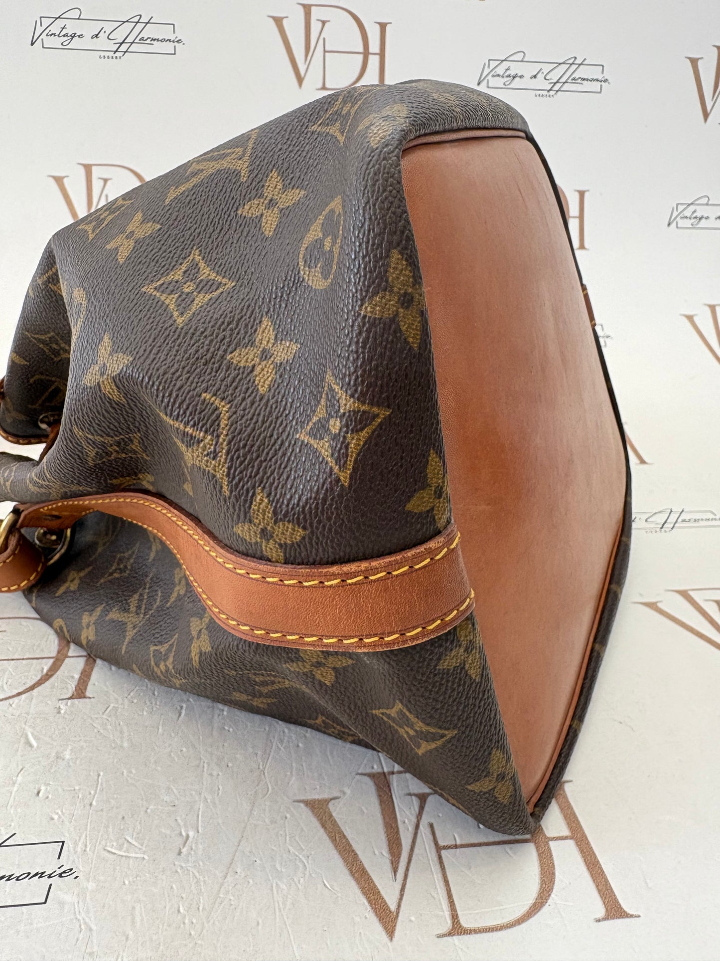018694 - Louis Vuitton Petite Noe
