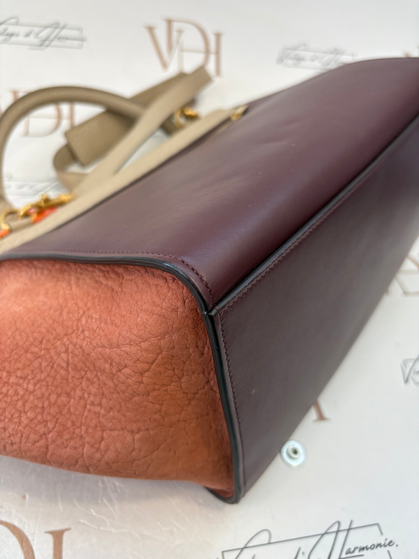 383733 - Céline Trapeze