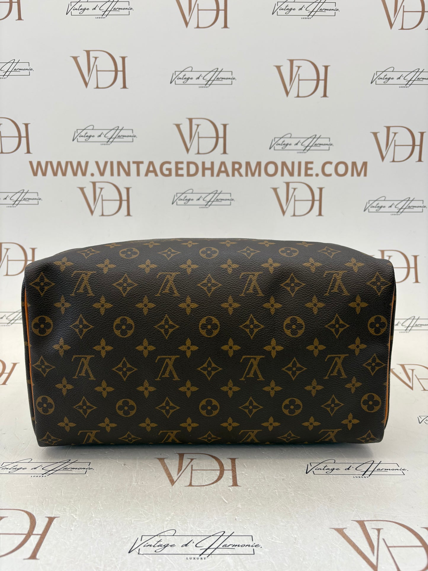018794 - Louis Vuitton Speedy 35