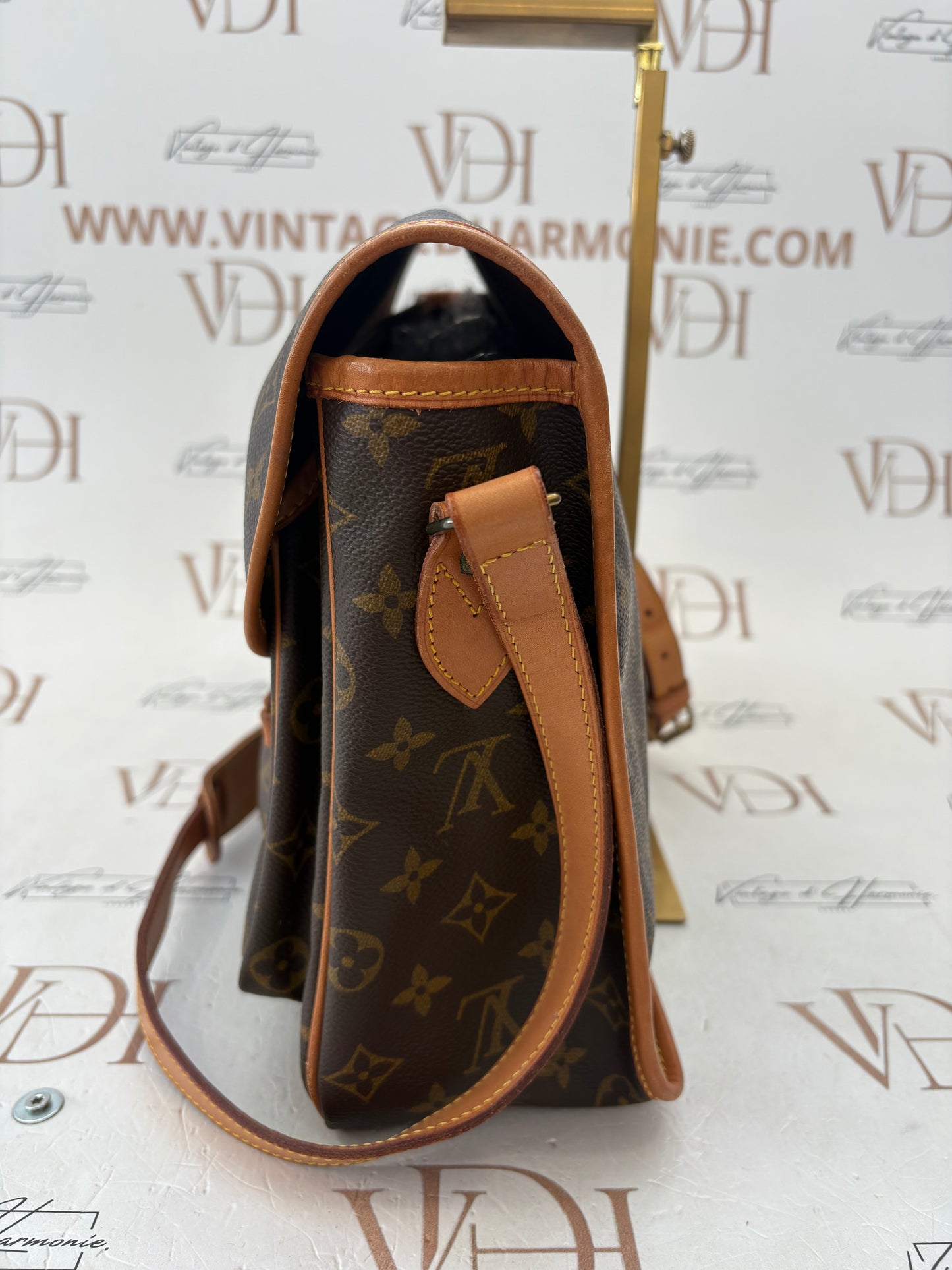 018966 - Louis Vuitton Gibeciere