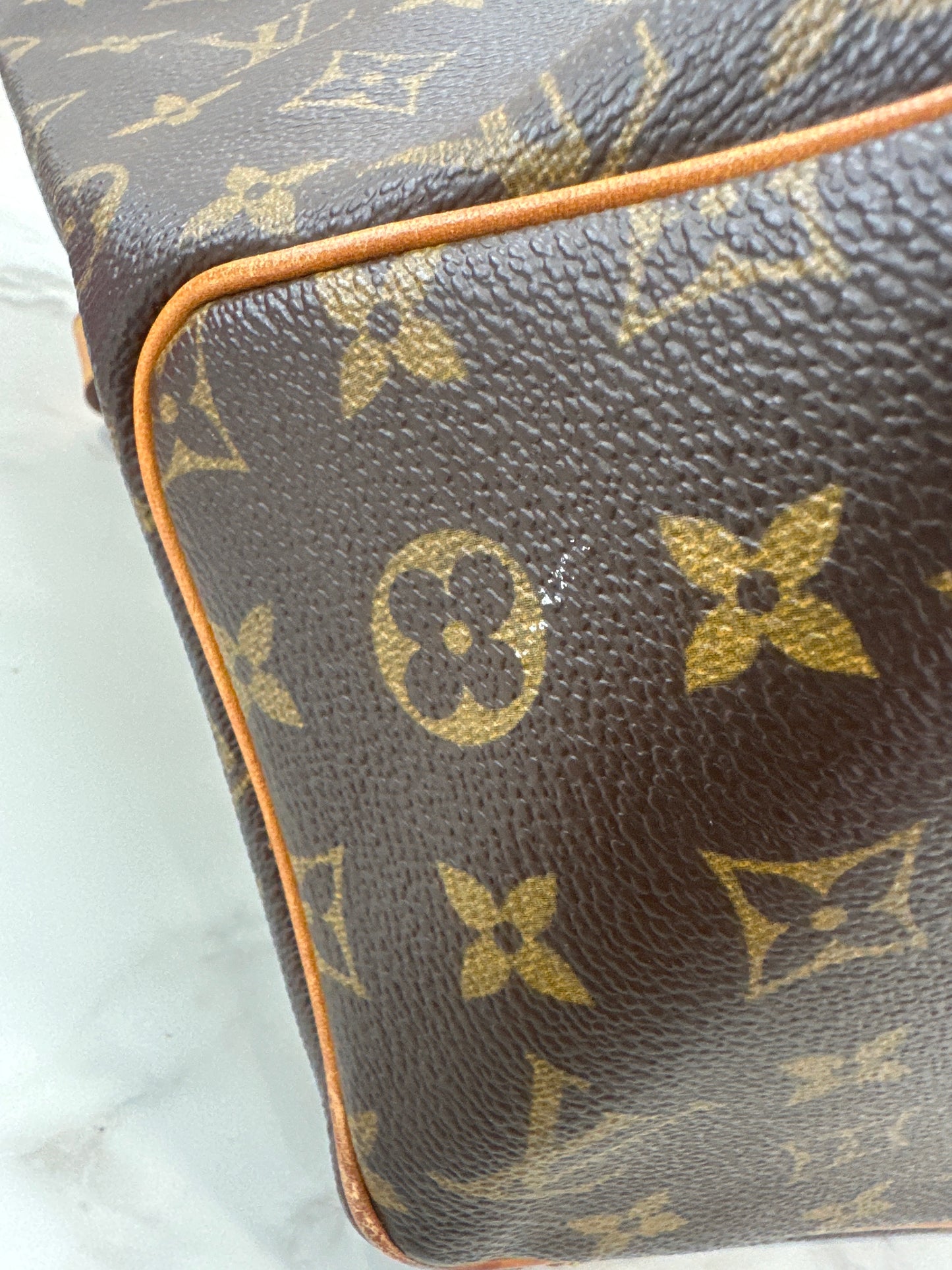 Louis Vuitton Sac Shopping