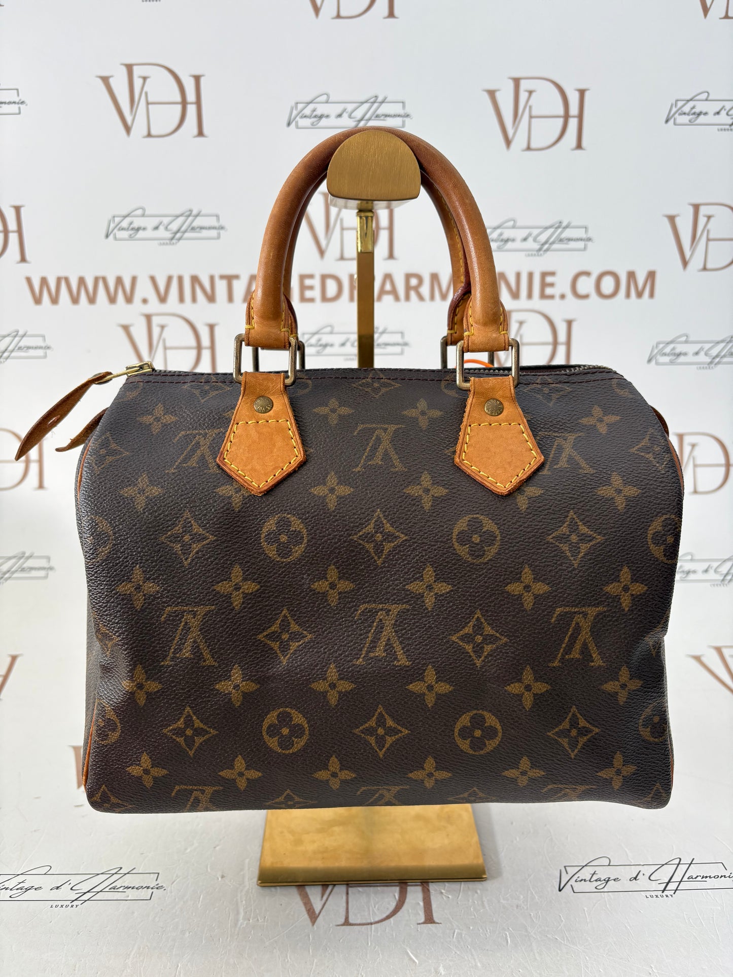 018834 - Louis Vuitton Speedy 25