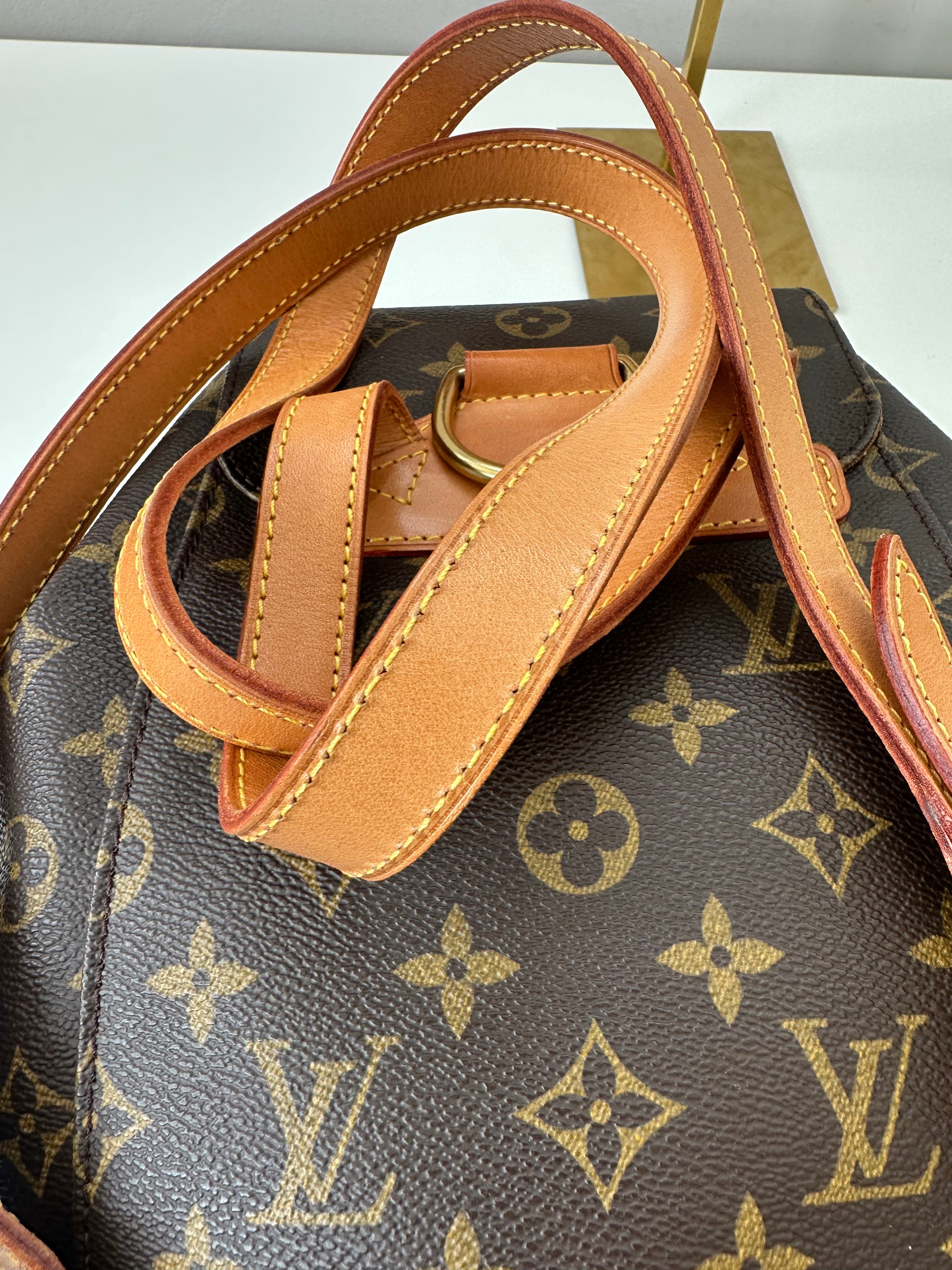 Louis Vuitton Montsouris MM
