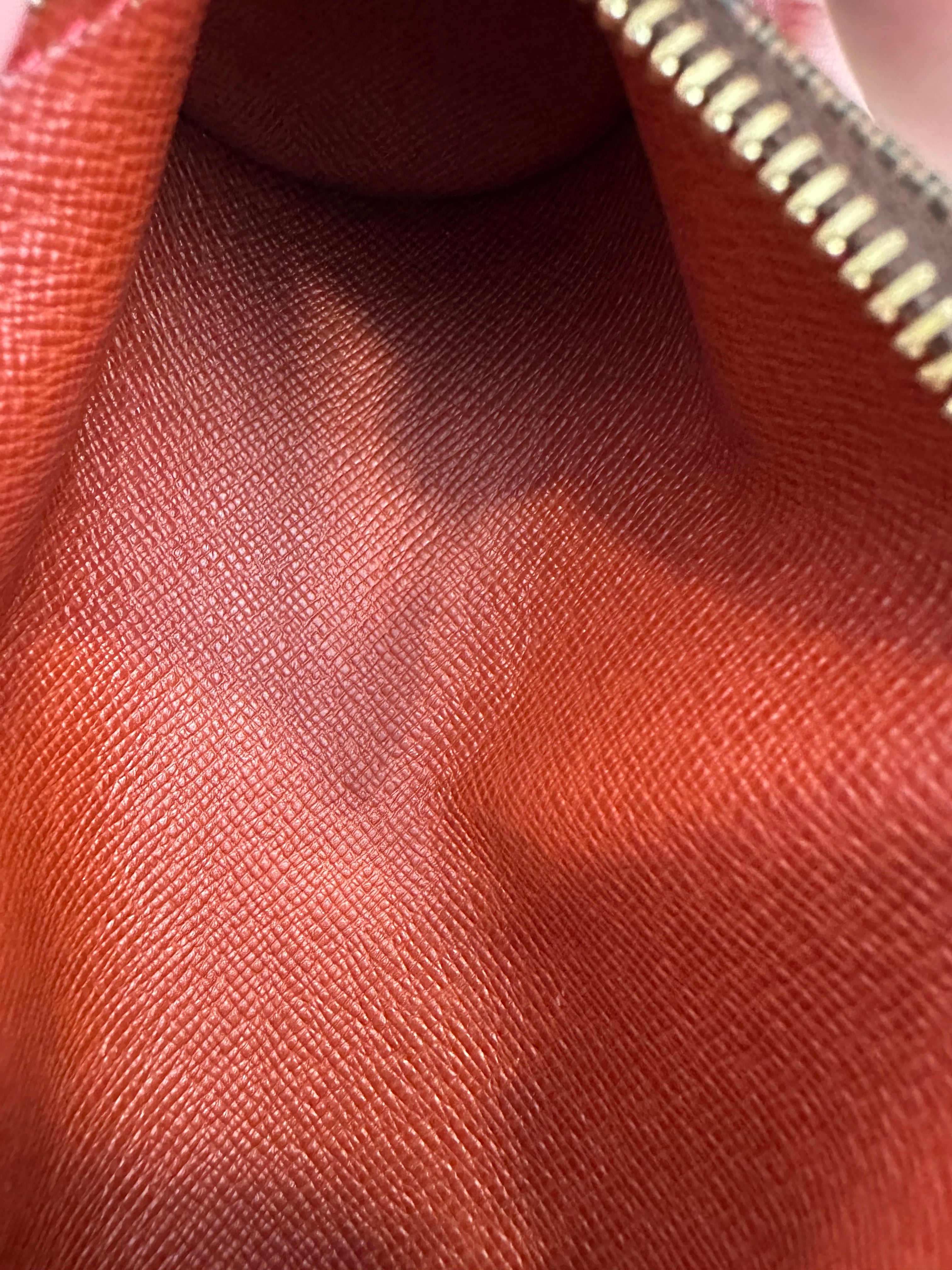 Louis Vuitton Damier Papillon Pouch