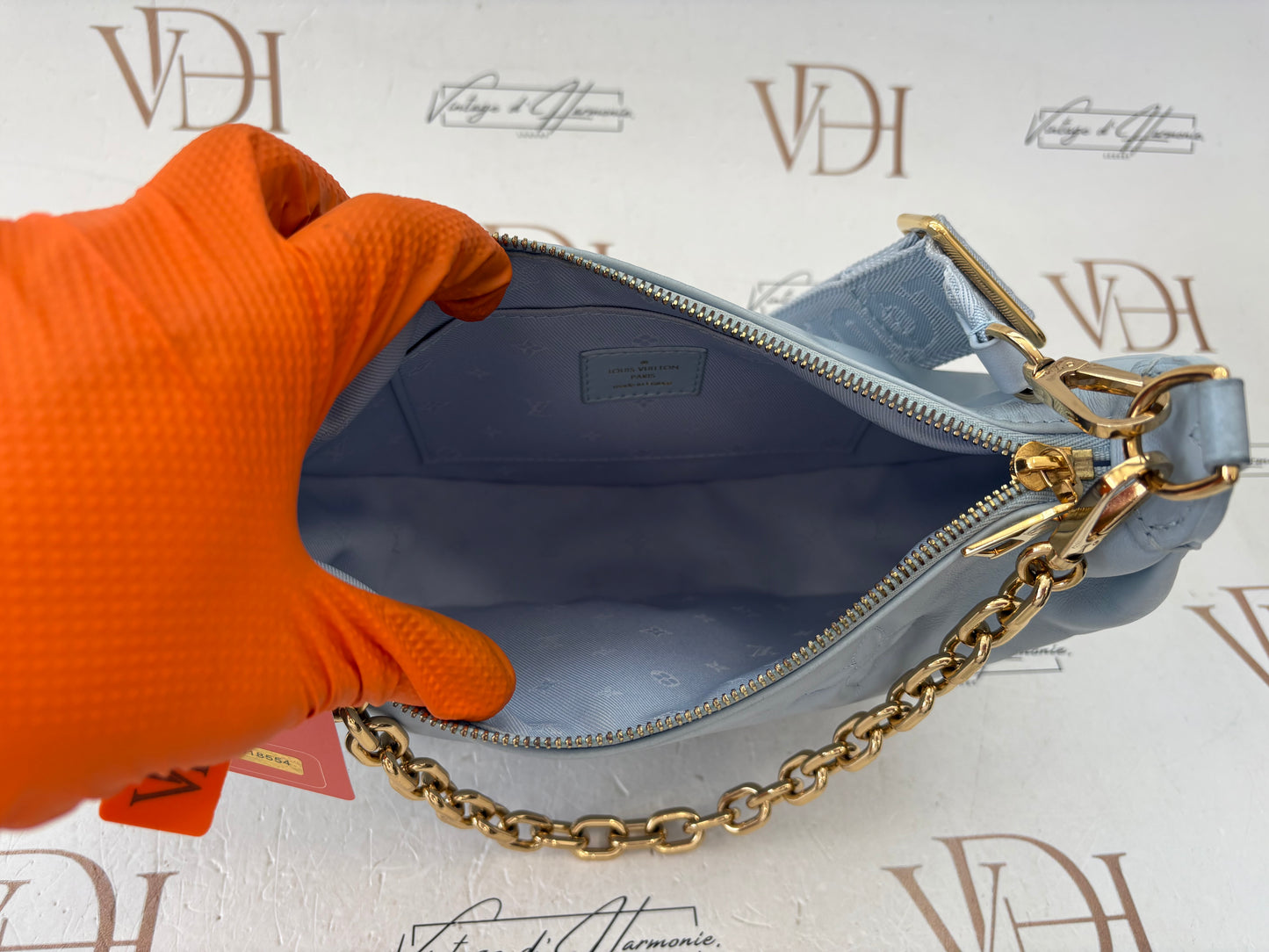 018554 - Louis Vuitton Light Blue Bubblegram Over The Moon