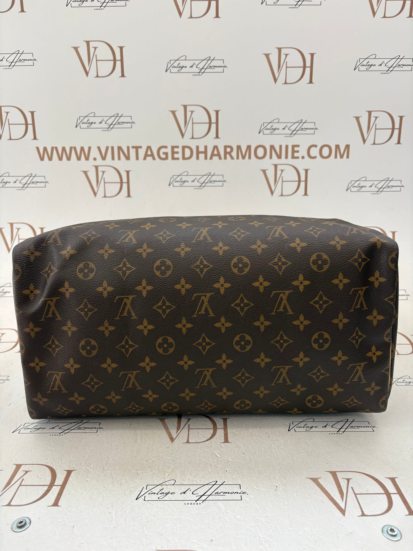 018402 - Louis Vuitton Speedy 40