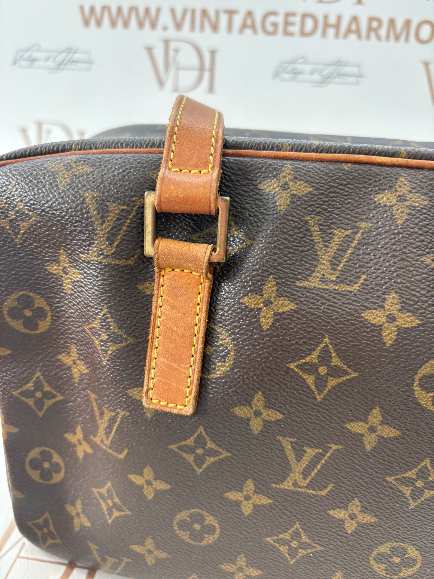 018776 - Louis Vuitton Cite GM