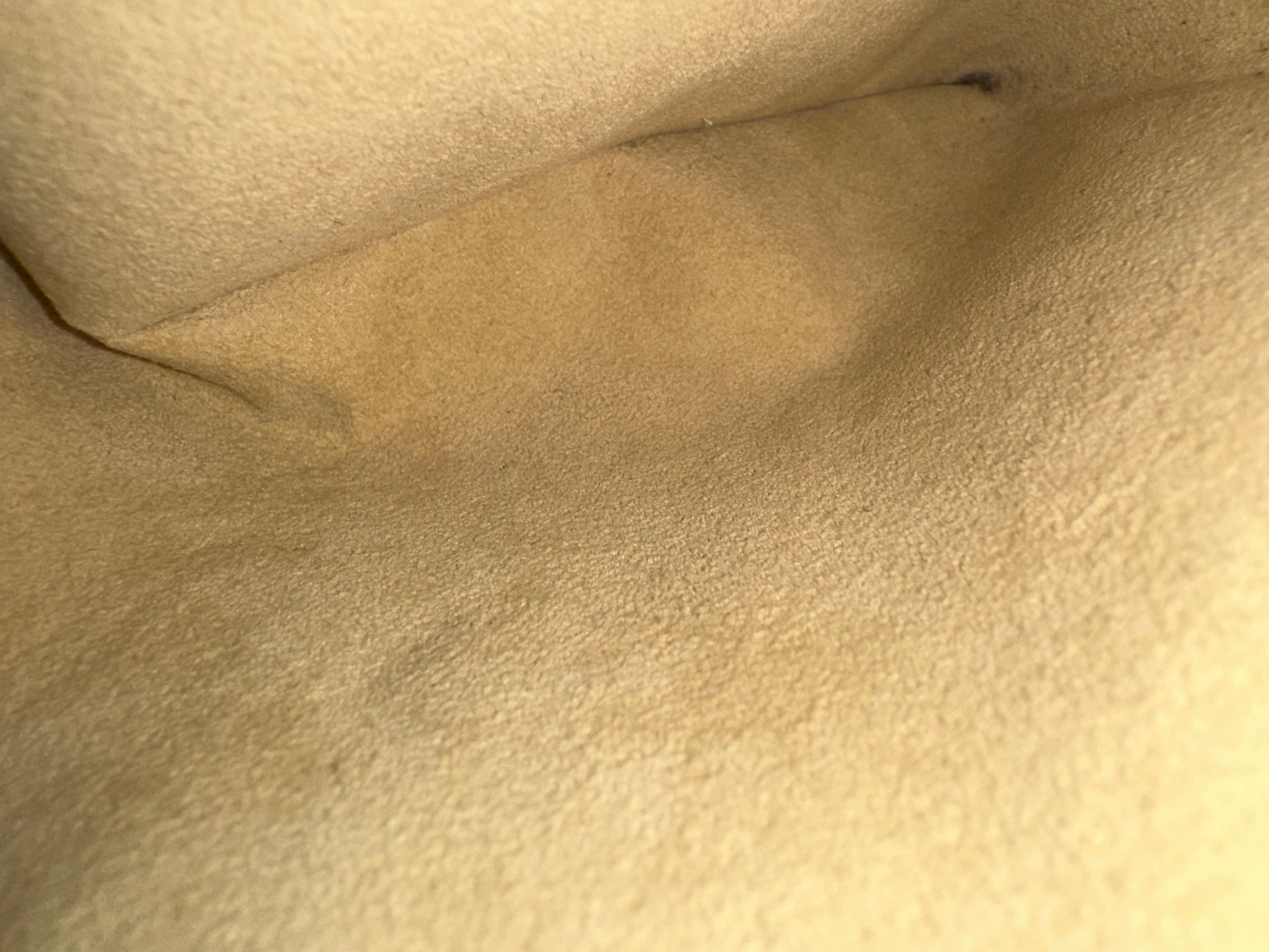 Louis Vuitton Cite GM