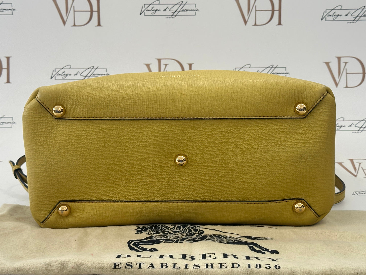 382633 - Burberry The Banner