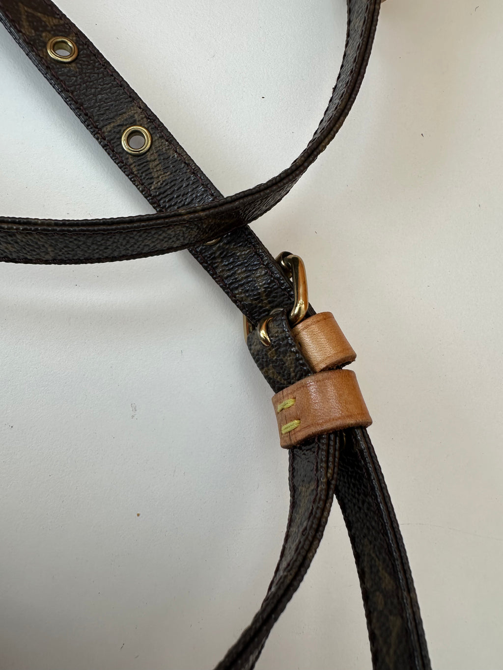 Louis Vuitton Danube