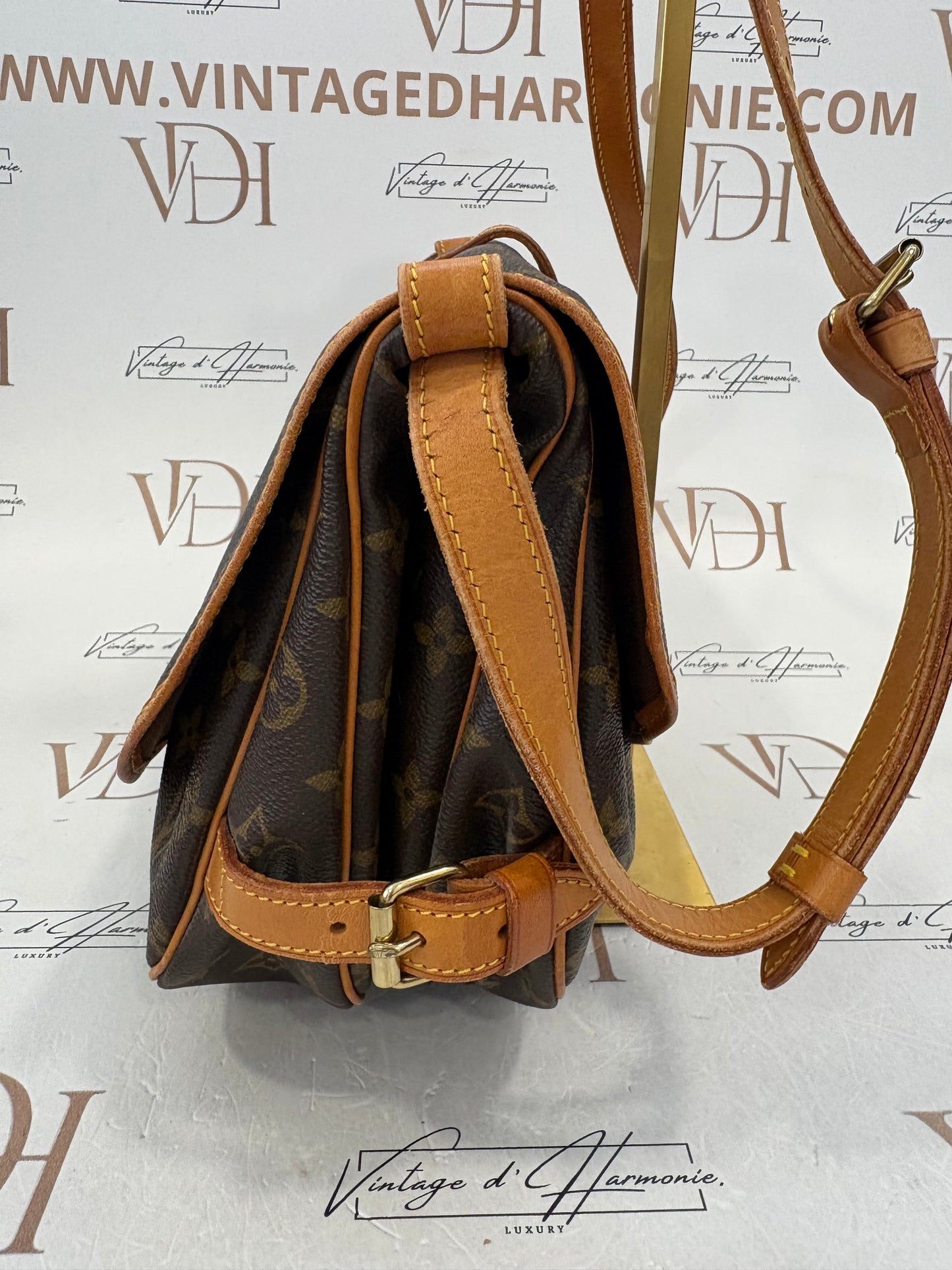 017643 - Louis Vuitton Saumur 30