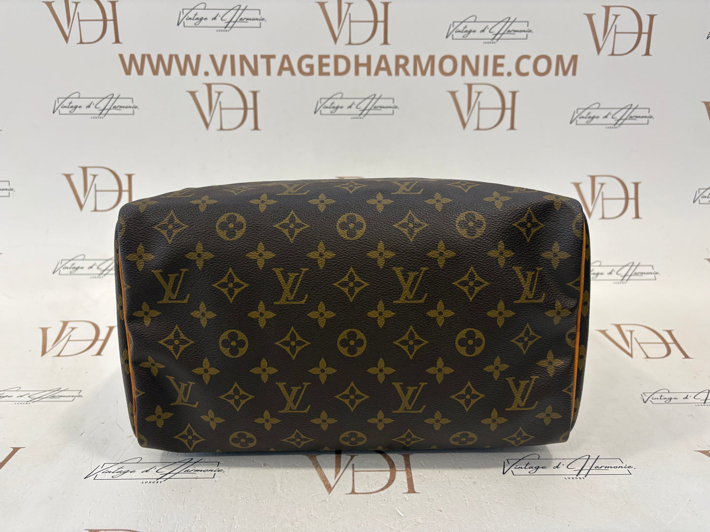 018251 - Louis Vuitton Speedy 30