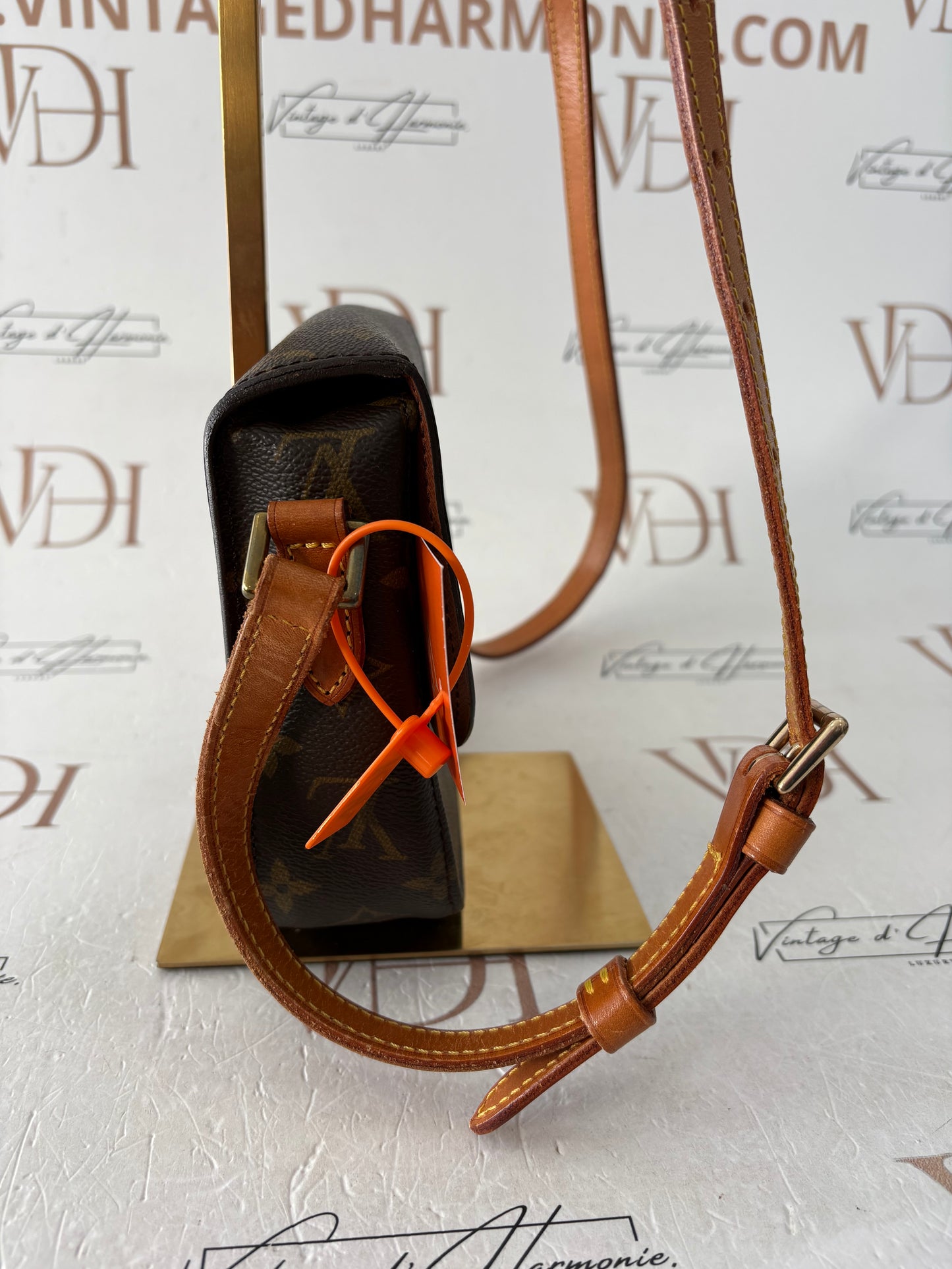 018920 - Louis Vuitton Saint Cloud PM