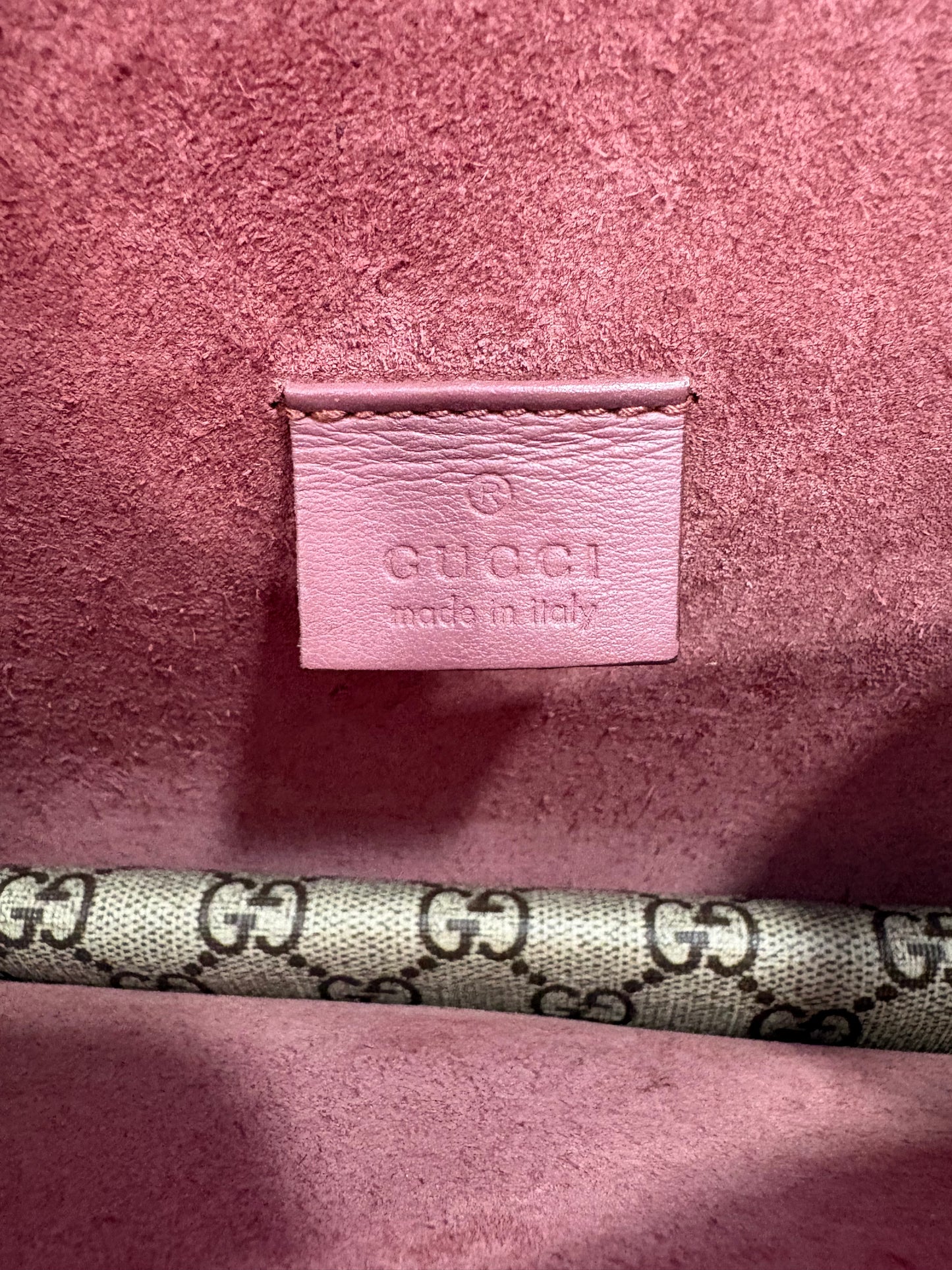 383000 - Gucci Dionysus