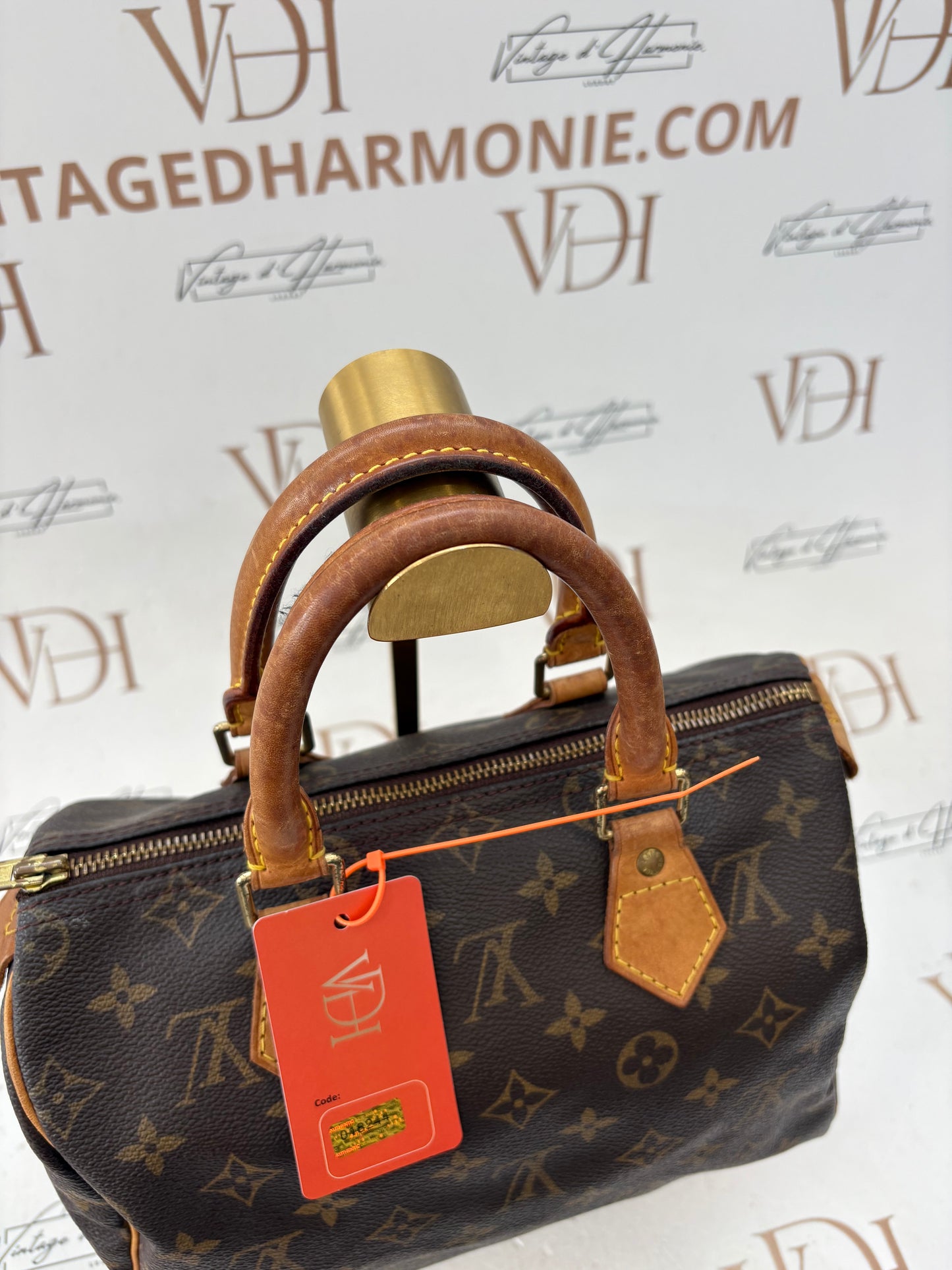 018244 - Louis Vuitton Speedy 25