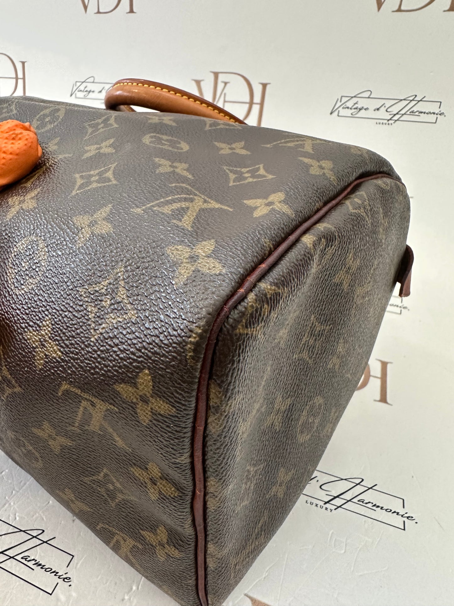 016863 - Louis Vuitton Speedy 30