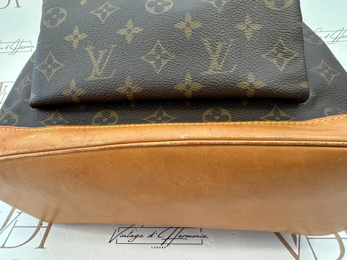 017819 - Louis Vuitton Montsouris GM