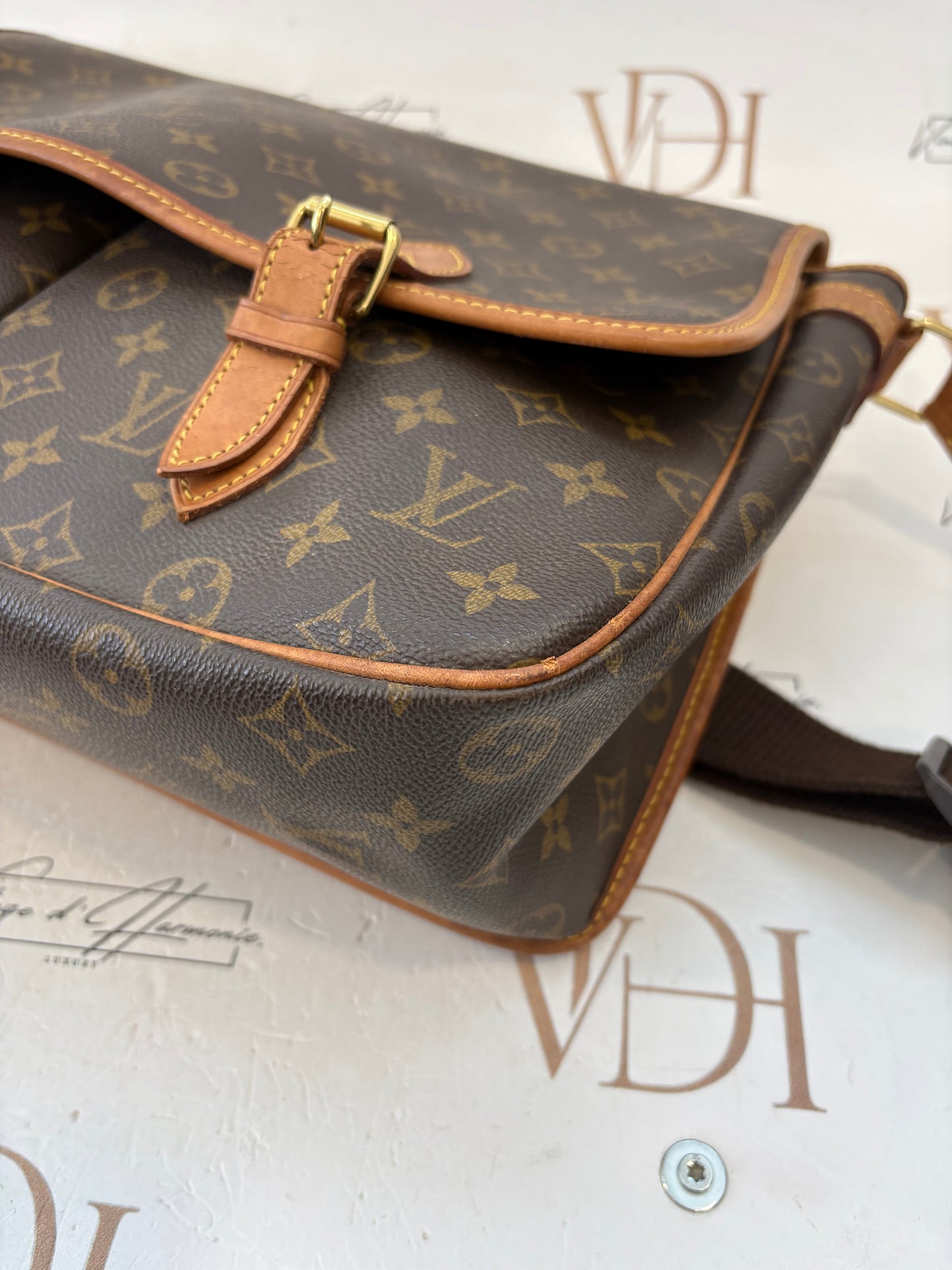 018720 - Louis Vuitton Gibeciere GM