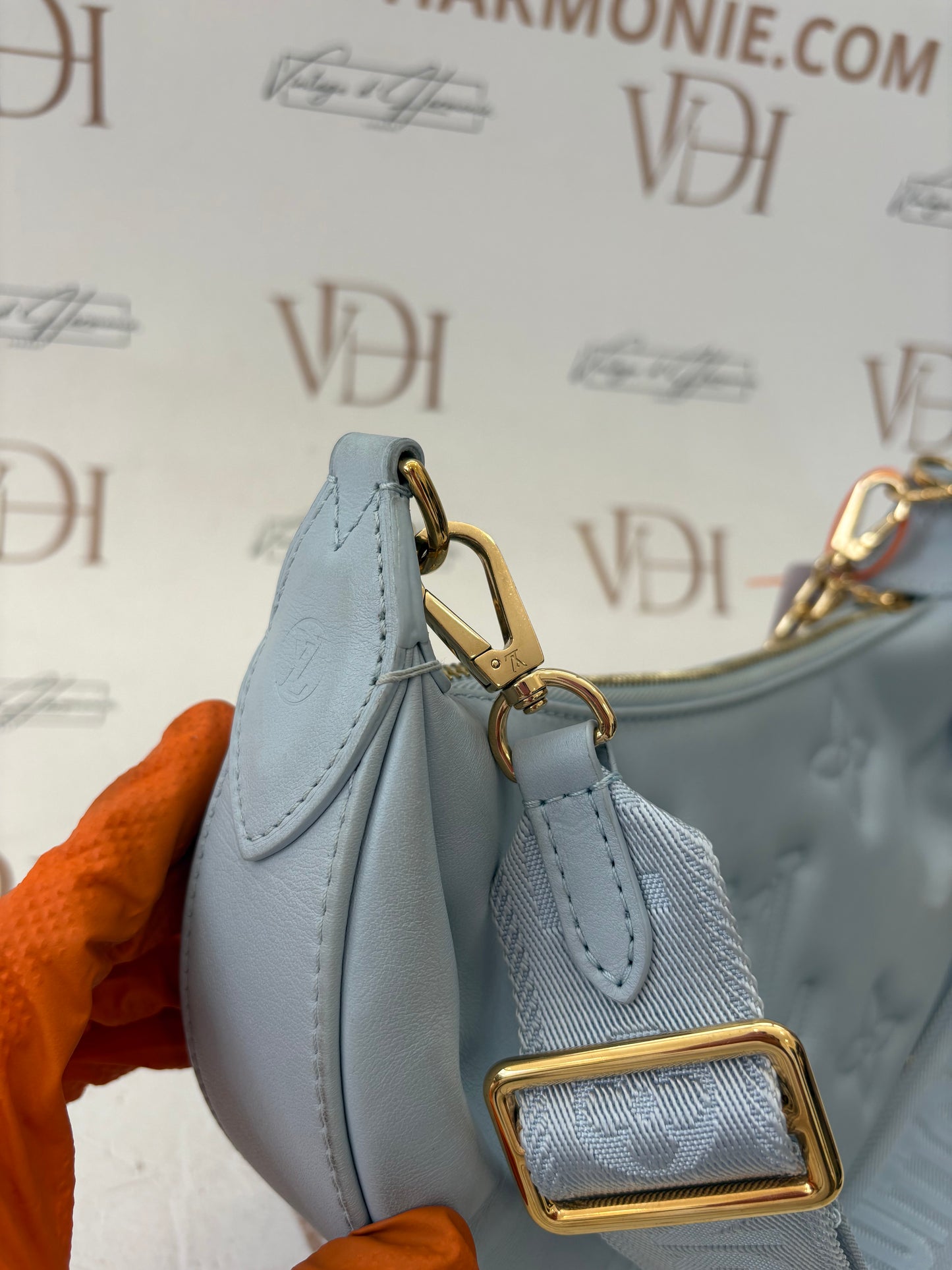 018554 - Louis Vuitton Light Blue Bubblegram Over The Moon