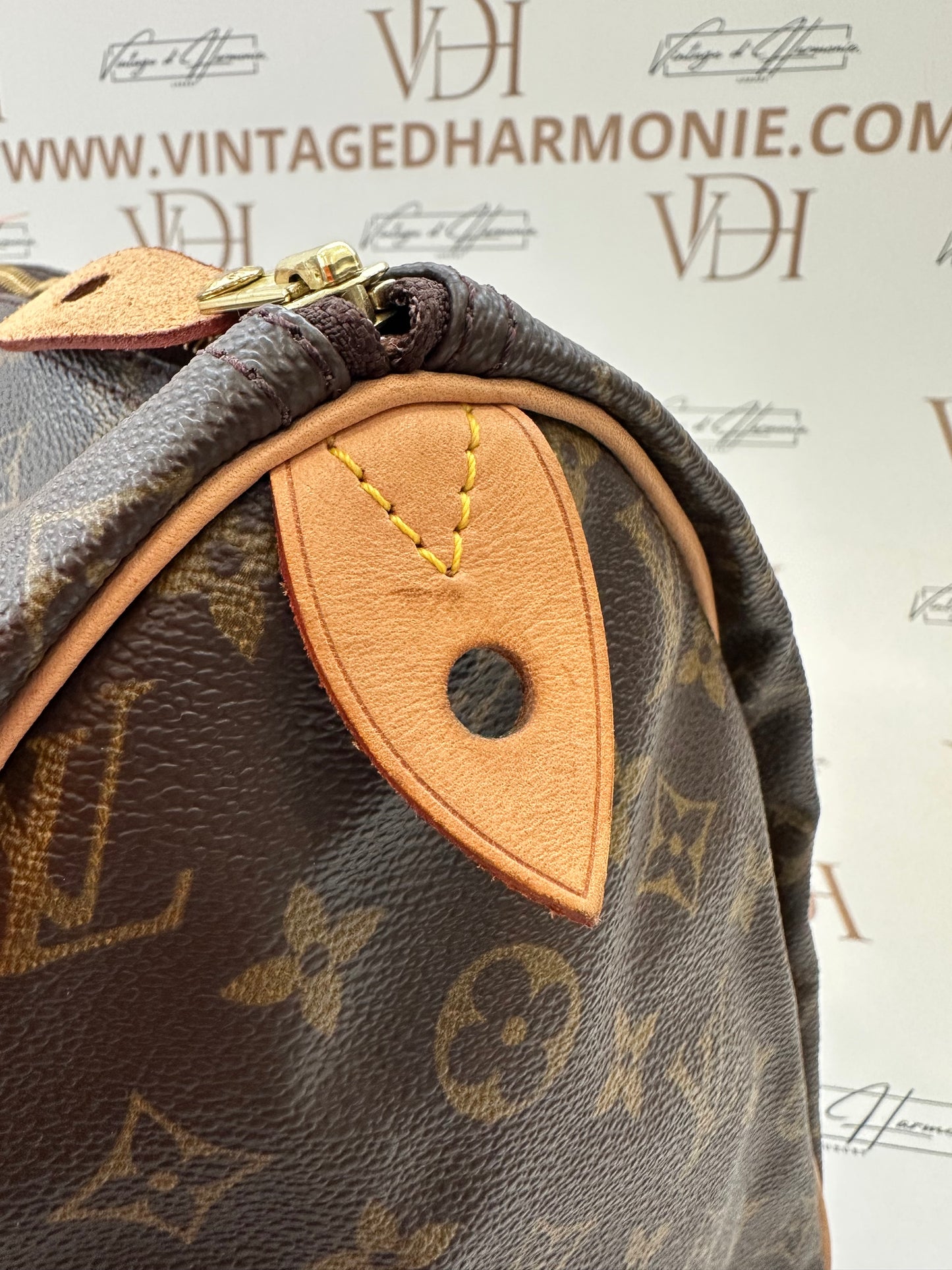 017909 - Louis Vuitton Speedy 40