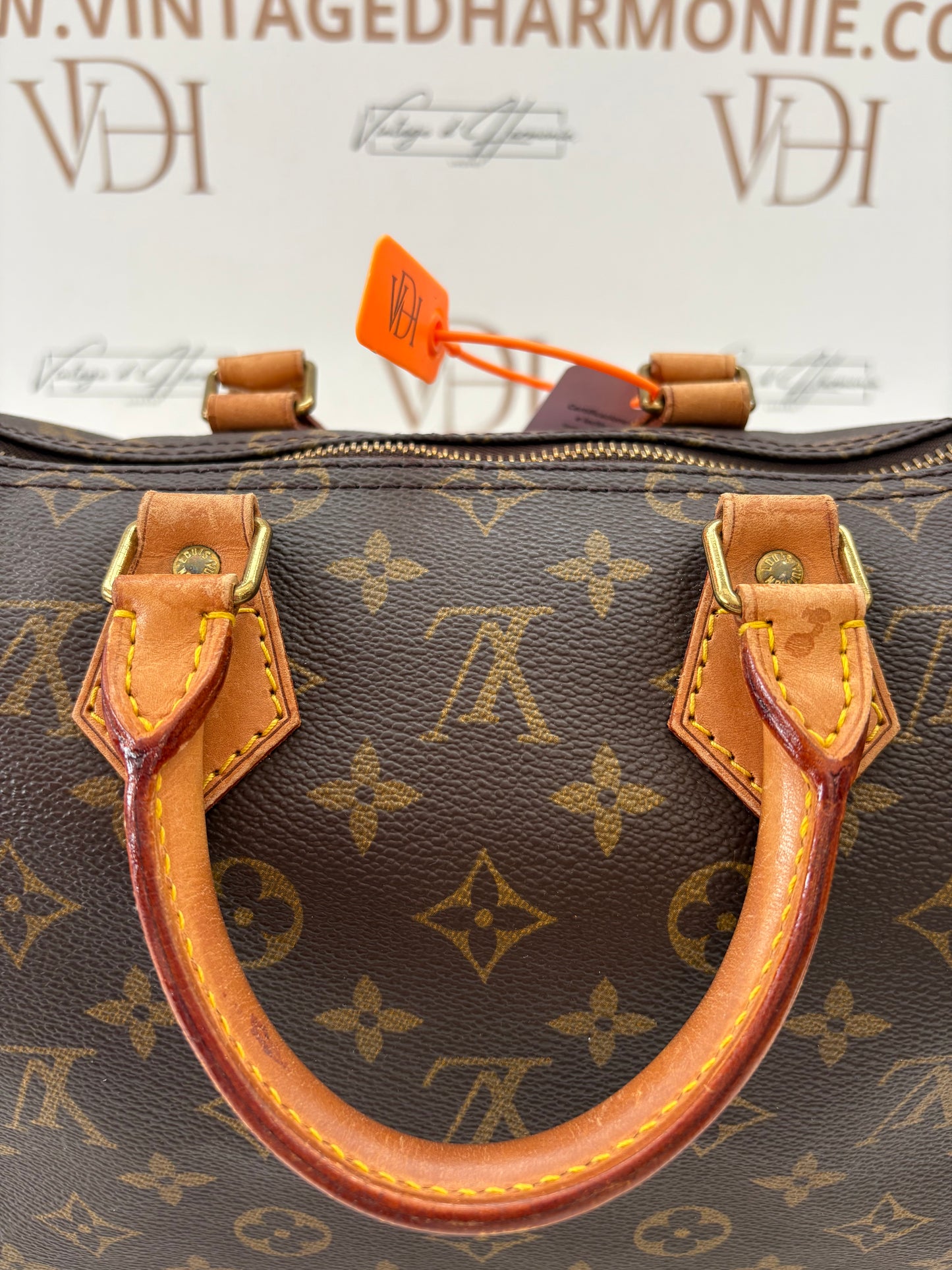 200870 - Louis Vuitton Speedy 25