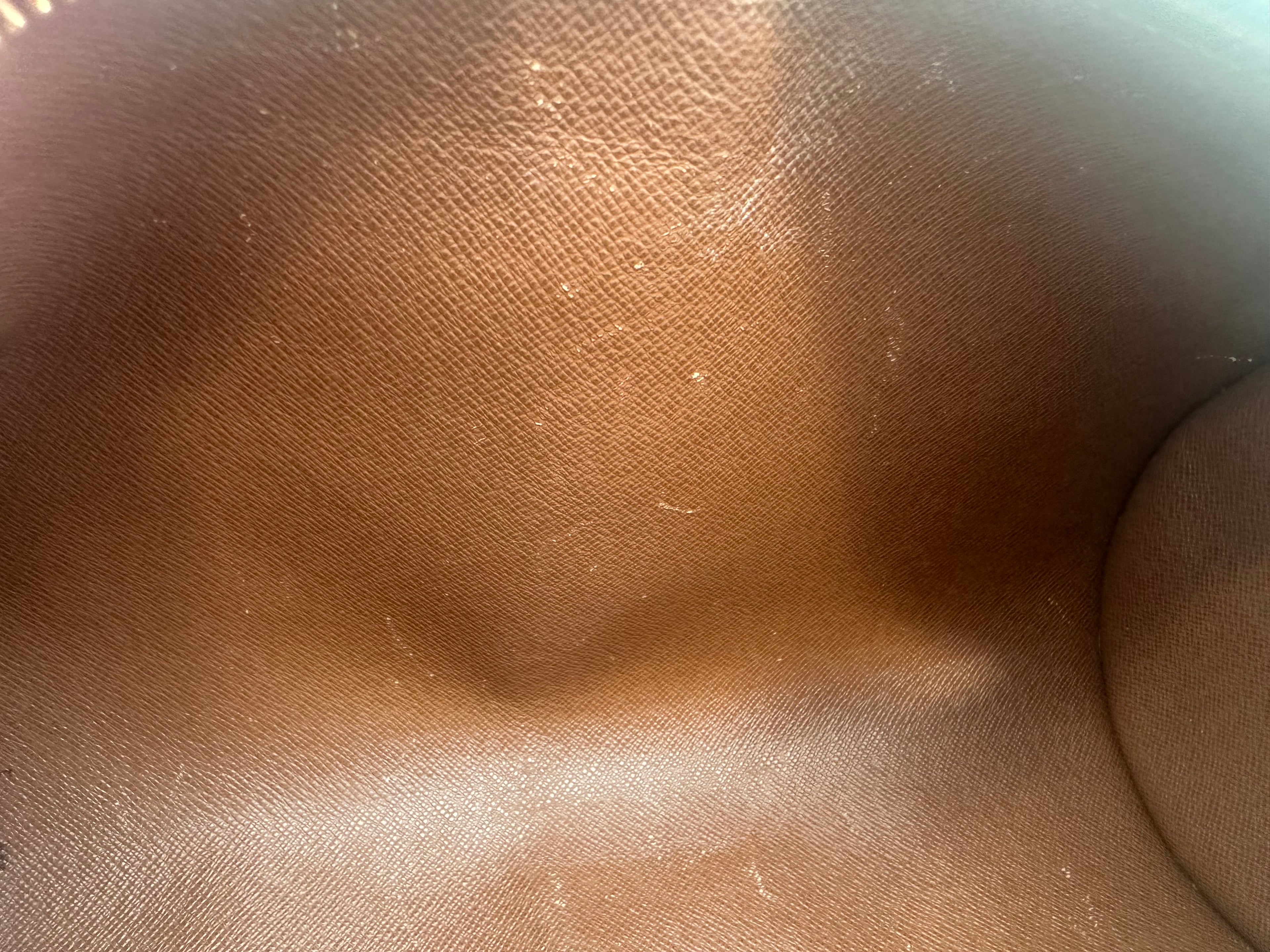 Louis Vuitton Papillon 26