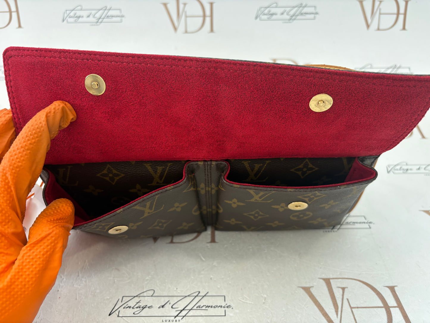 018809 - Louis Vuitton Viva Cite MM