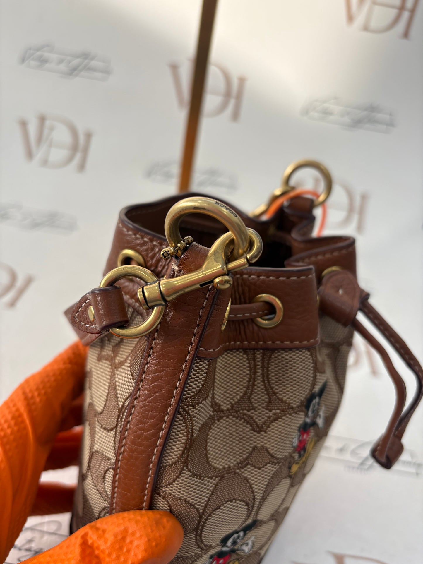 382692 - Coach Disney