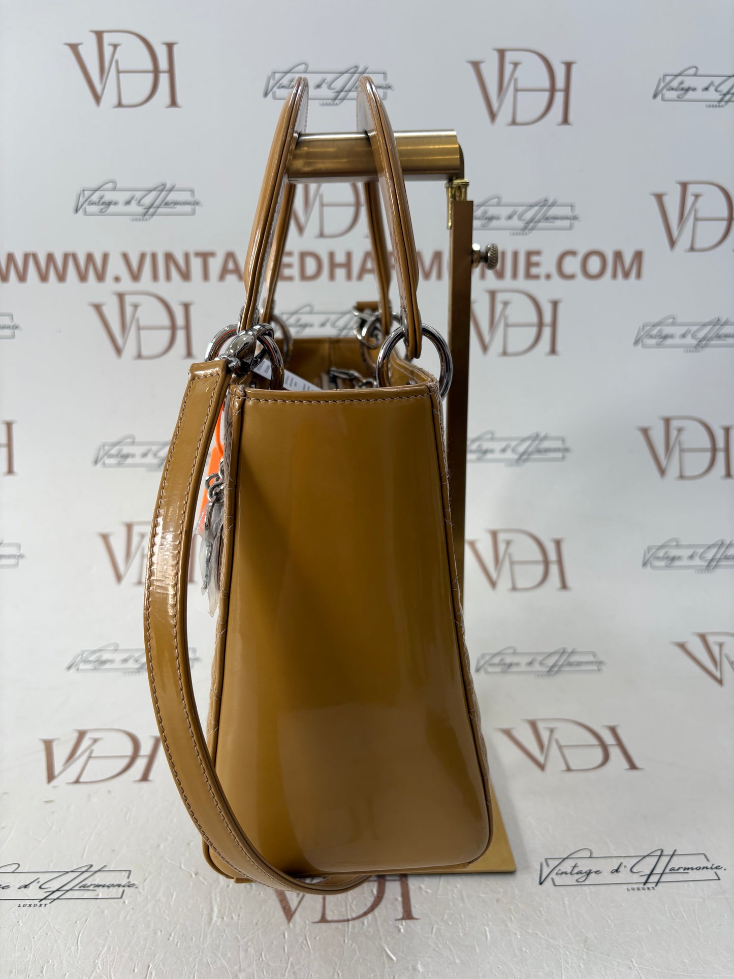 383847 - Dior Lady
