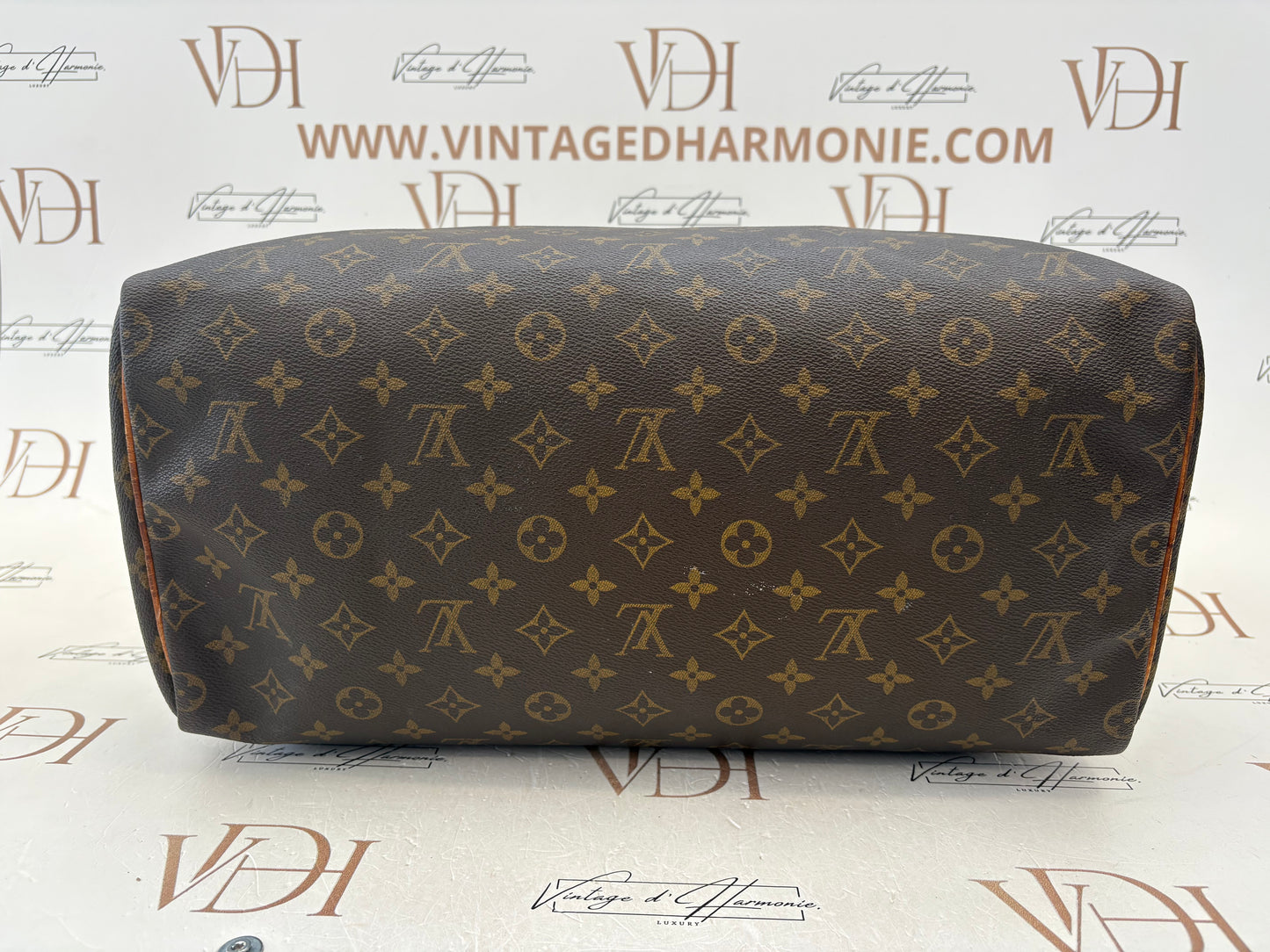 018997 - Louis Vuitton Speedy 40