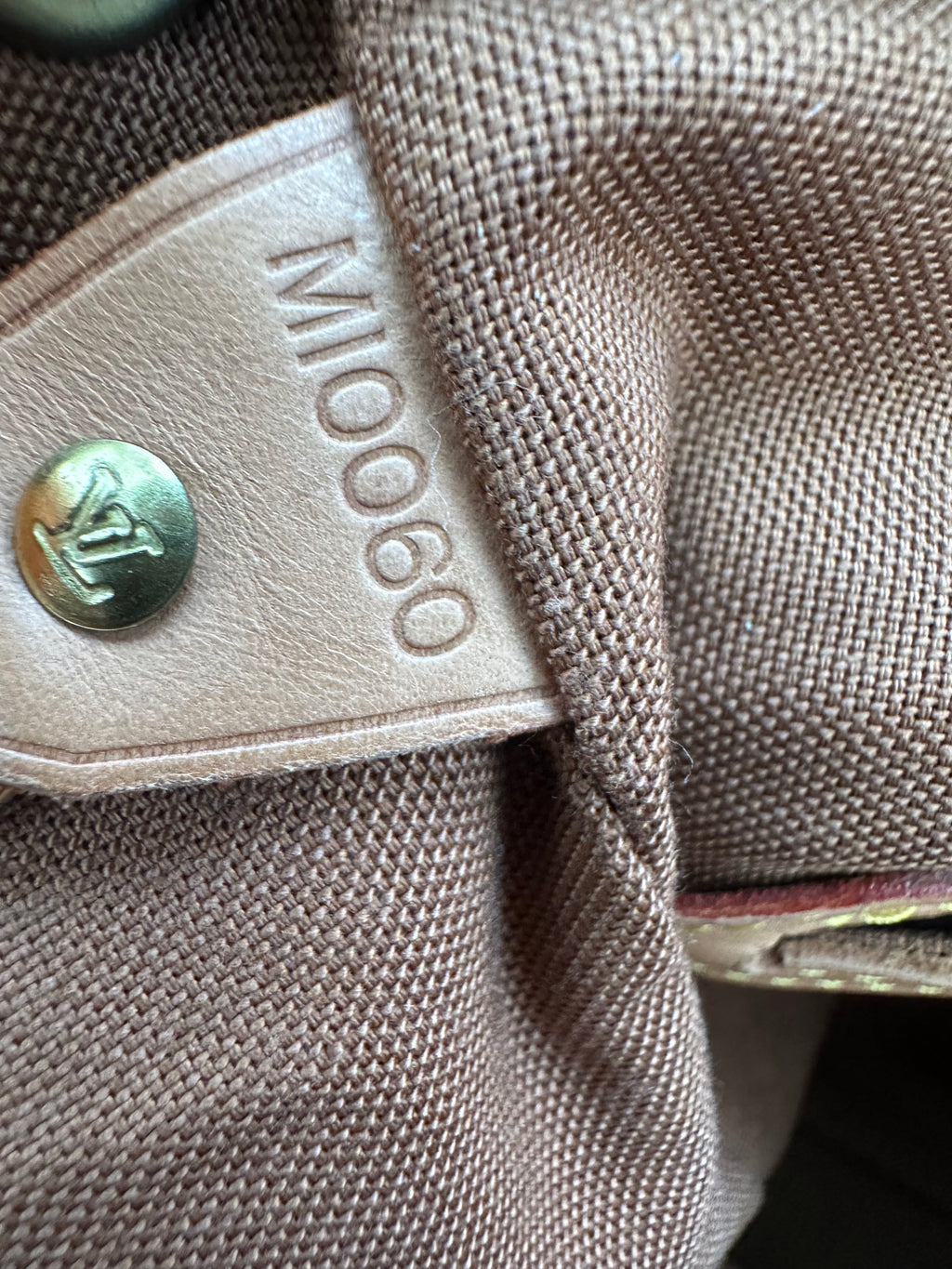 Louis Vuitton Montsouris GM