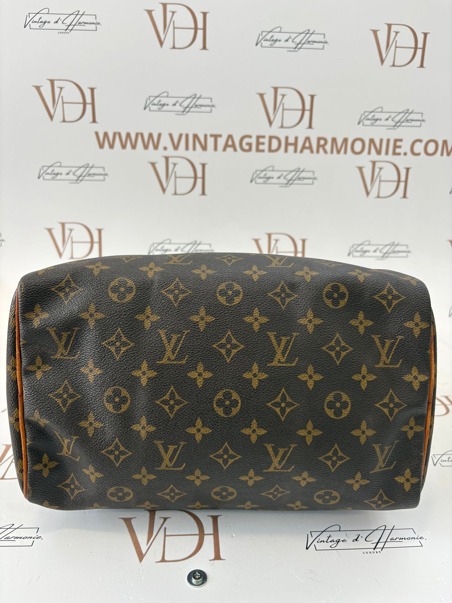 018737 - Louis Vuitton Speedy 30