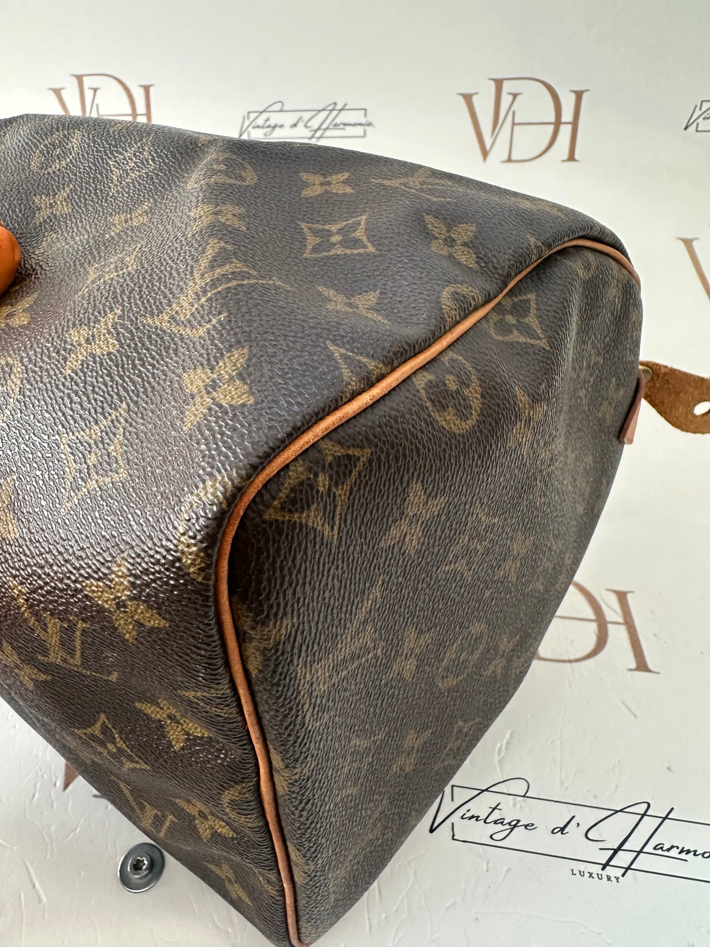 017847 - Louis Vuitton Speedy 30